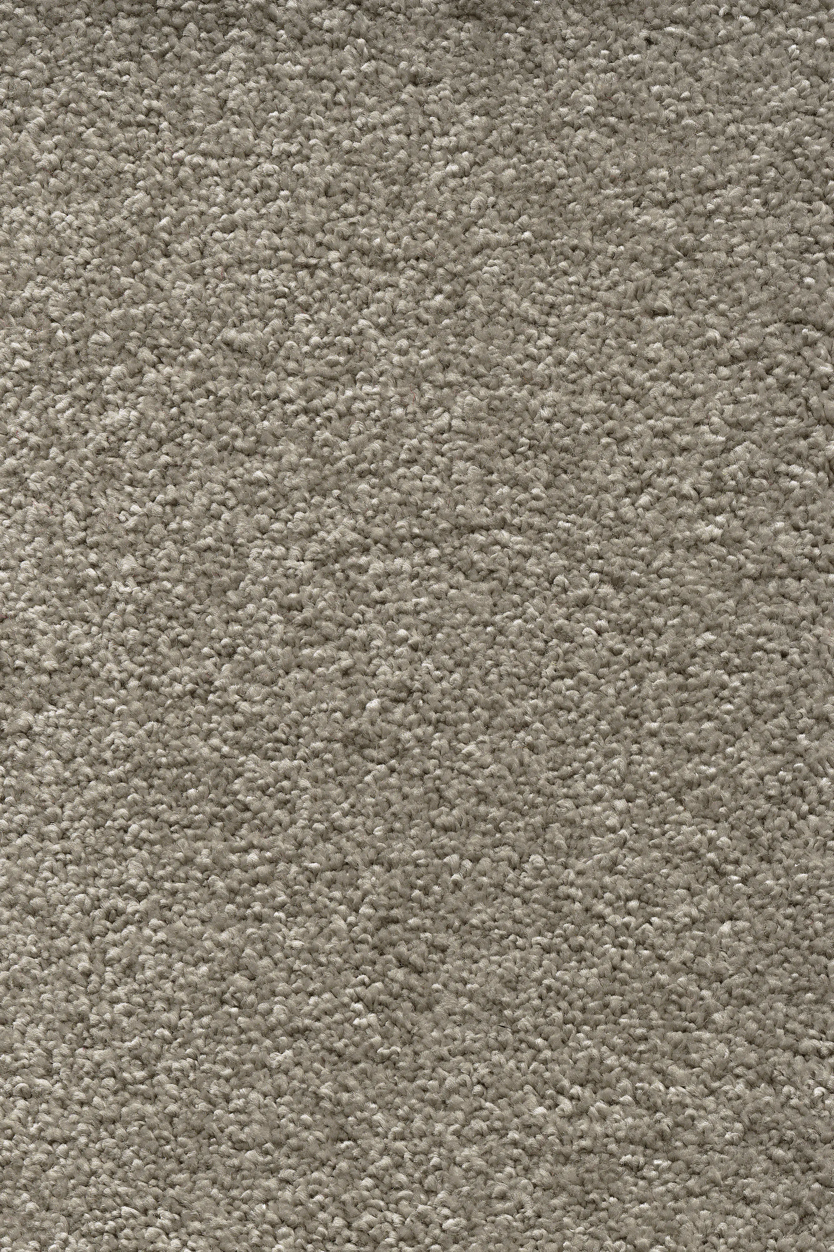 Teppichboden Ella schlamm 5 m breit (Meterware)