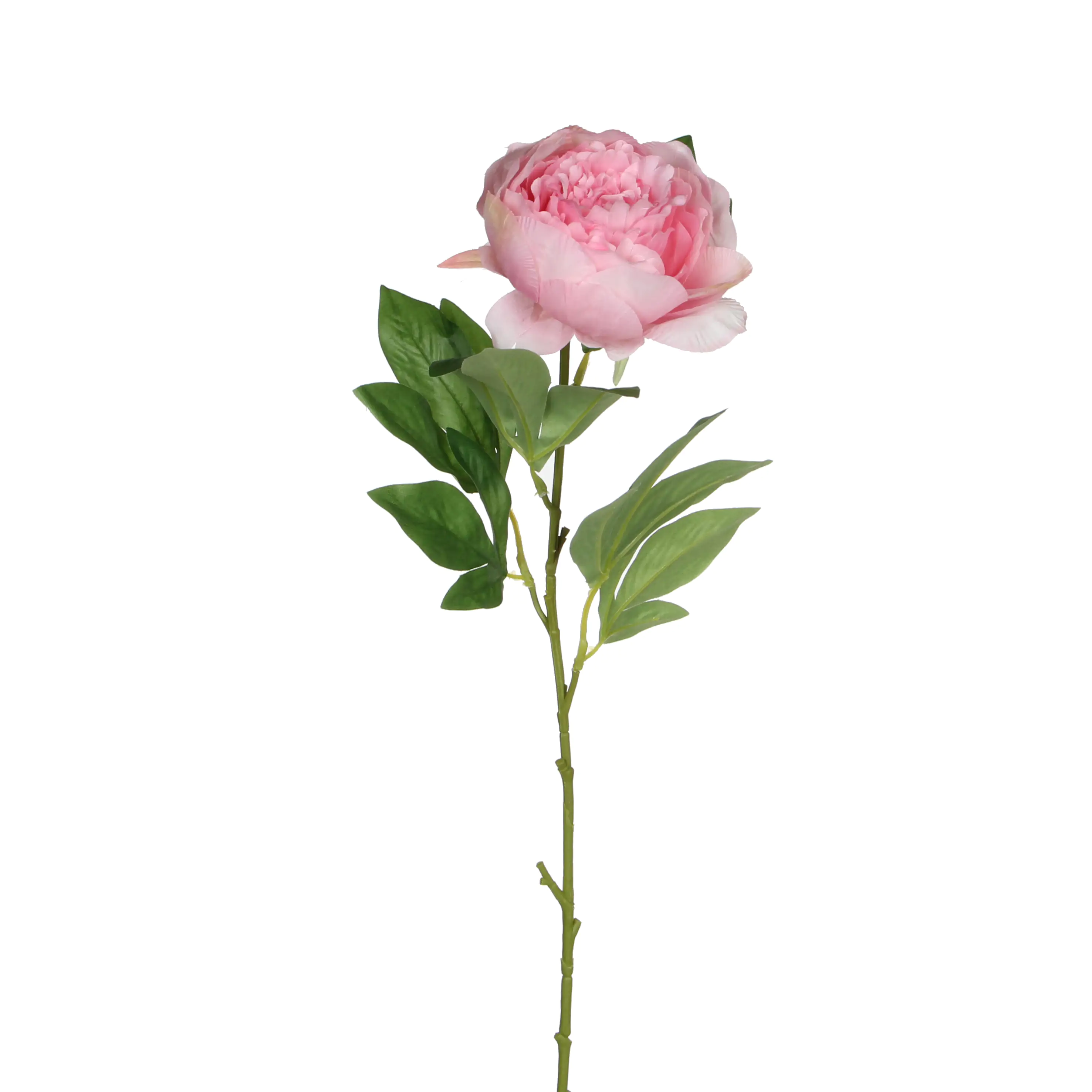 8718861157550 Mica künstliche Pfingstrose rosa 76 cm