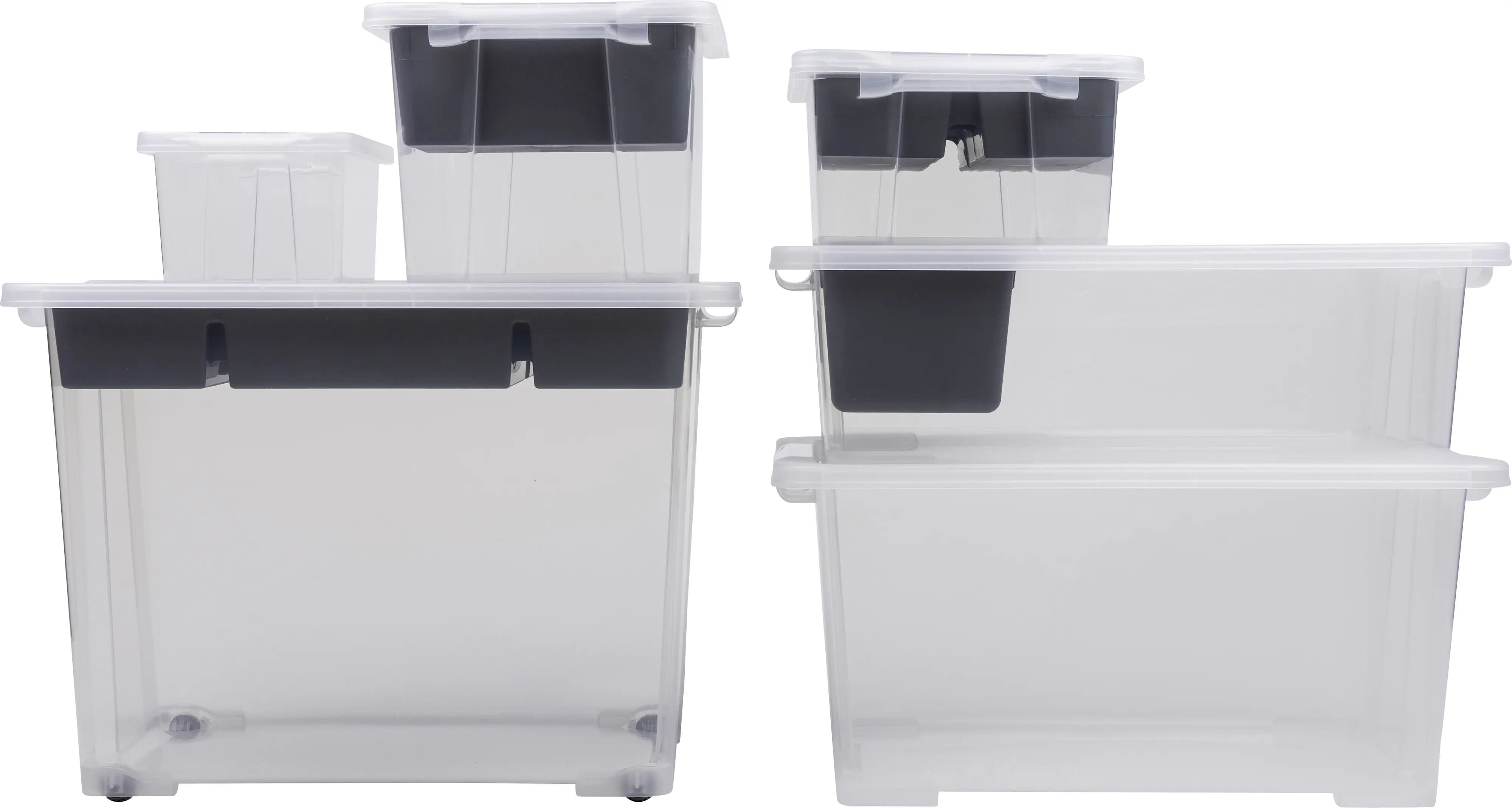 Rotho Aufbewahrungsbox EVO Easy 4 L transparent 27 x 17,2 x 12,8 cm