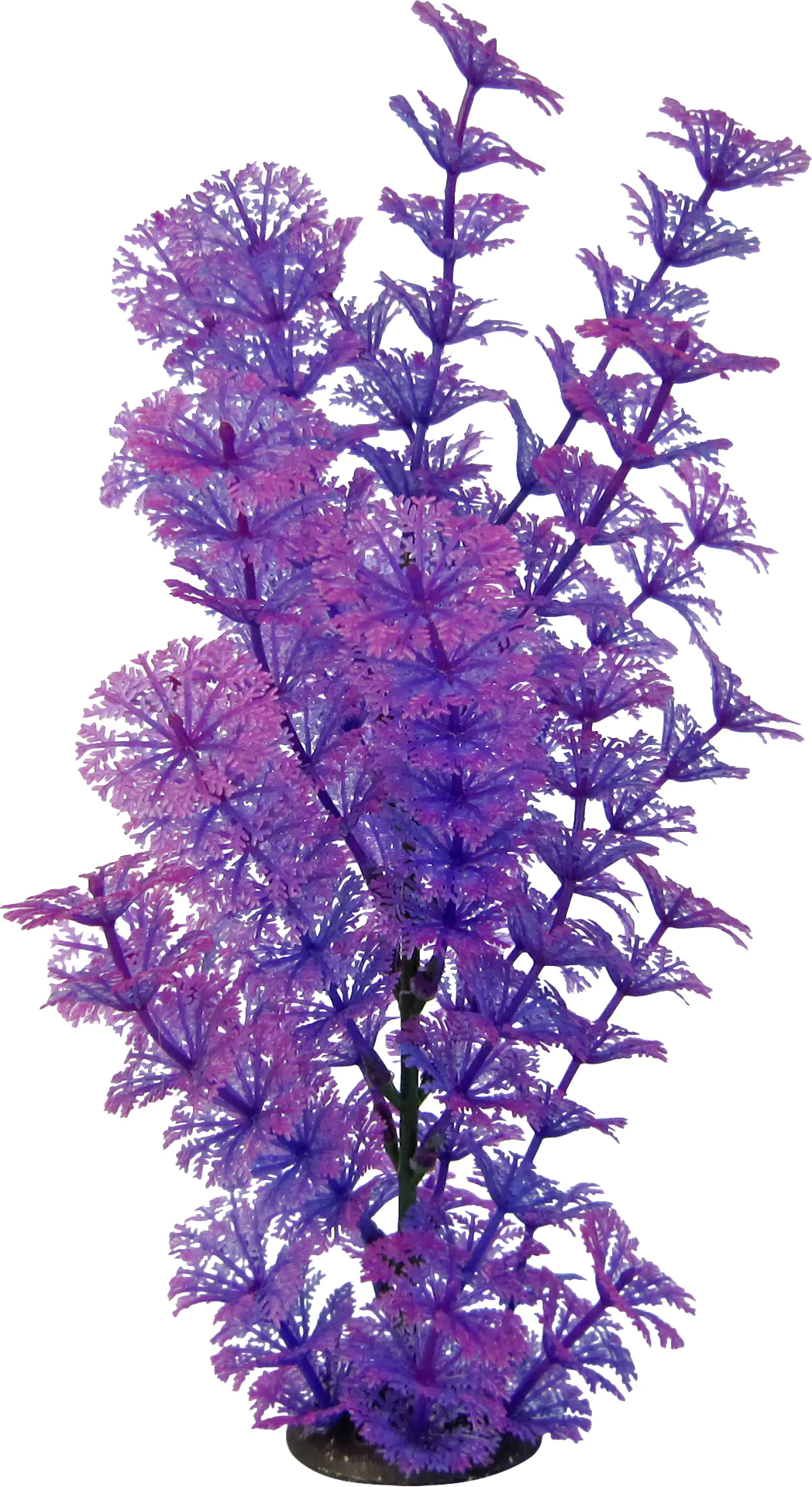 Orbit Aquapflanze Deluxe large Nr. 13 25 - 32 cm Orbit Aquapflanze Deluxe large Nr. 13 25 - 32 cm