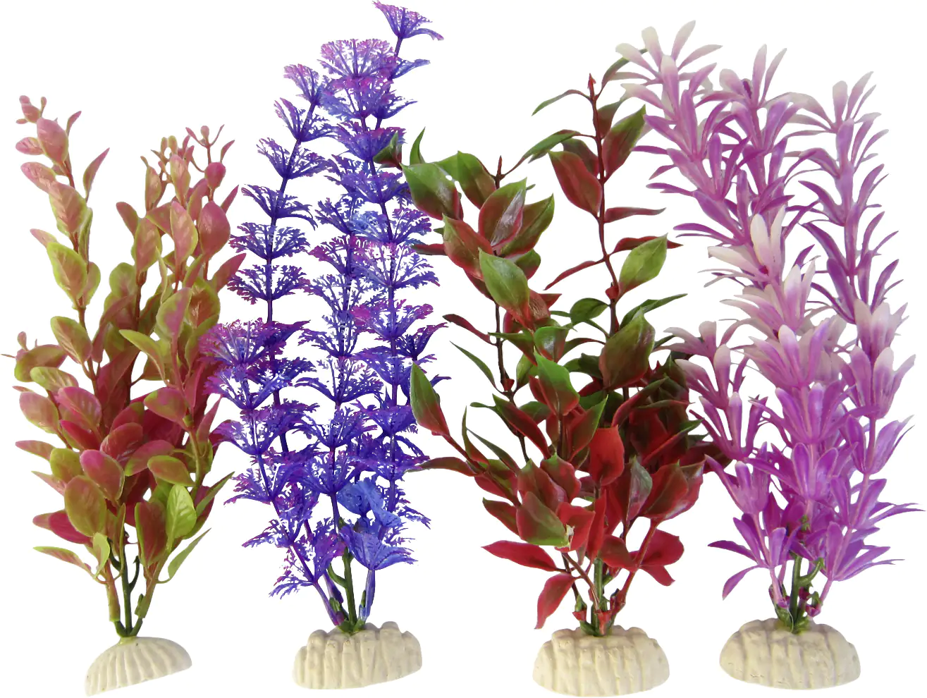 Orbit Aquapflanze bunt Standard medium