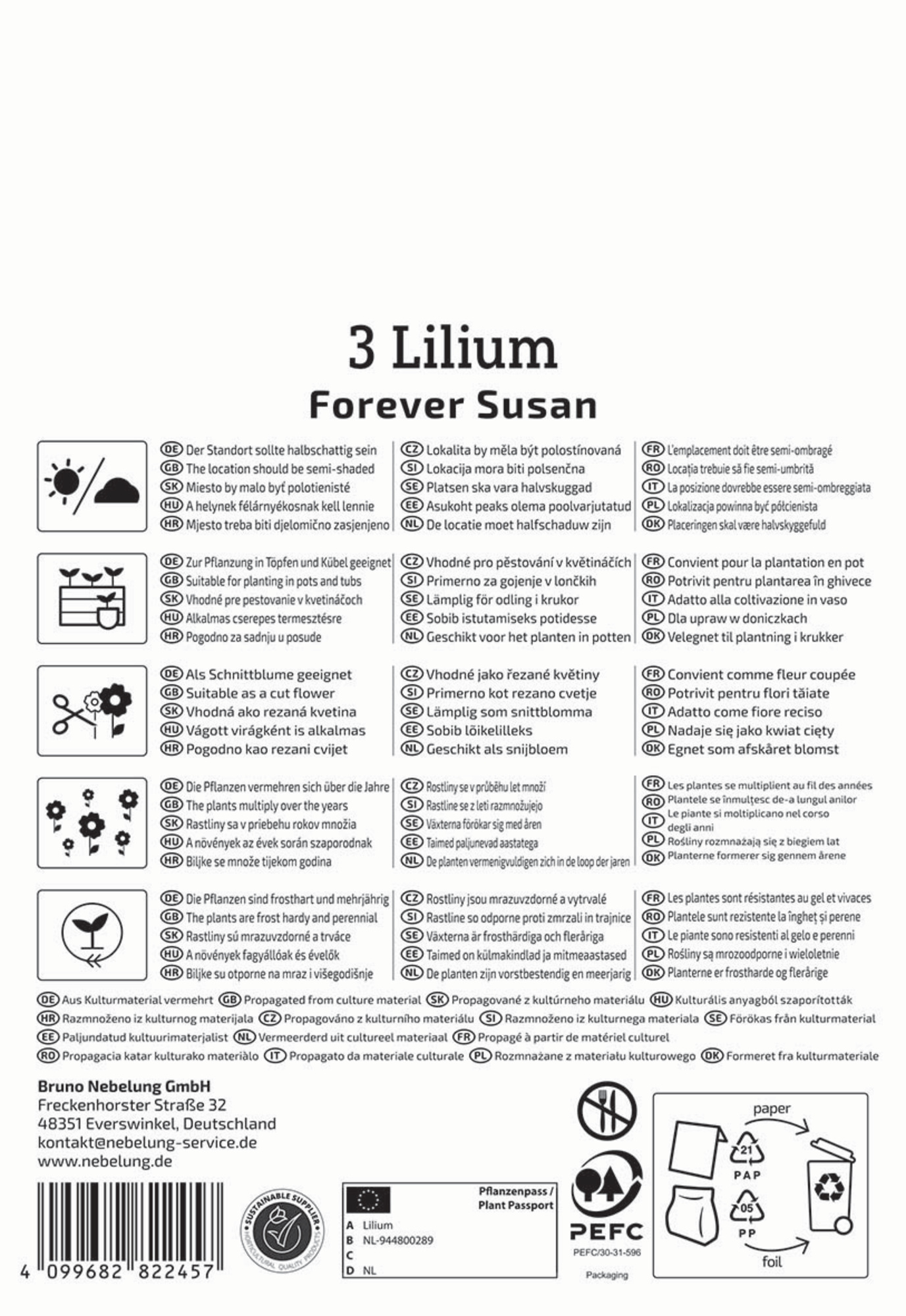 Kiepenkerl Frühjahrsblumenzwiebel Asiatische Lilie Forever Susan 3 Stück