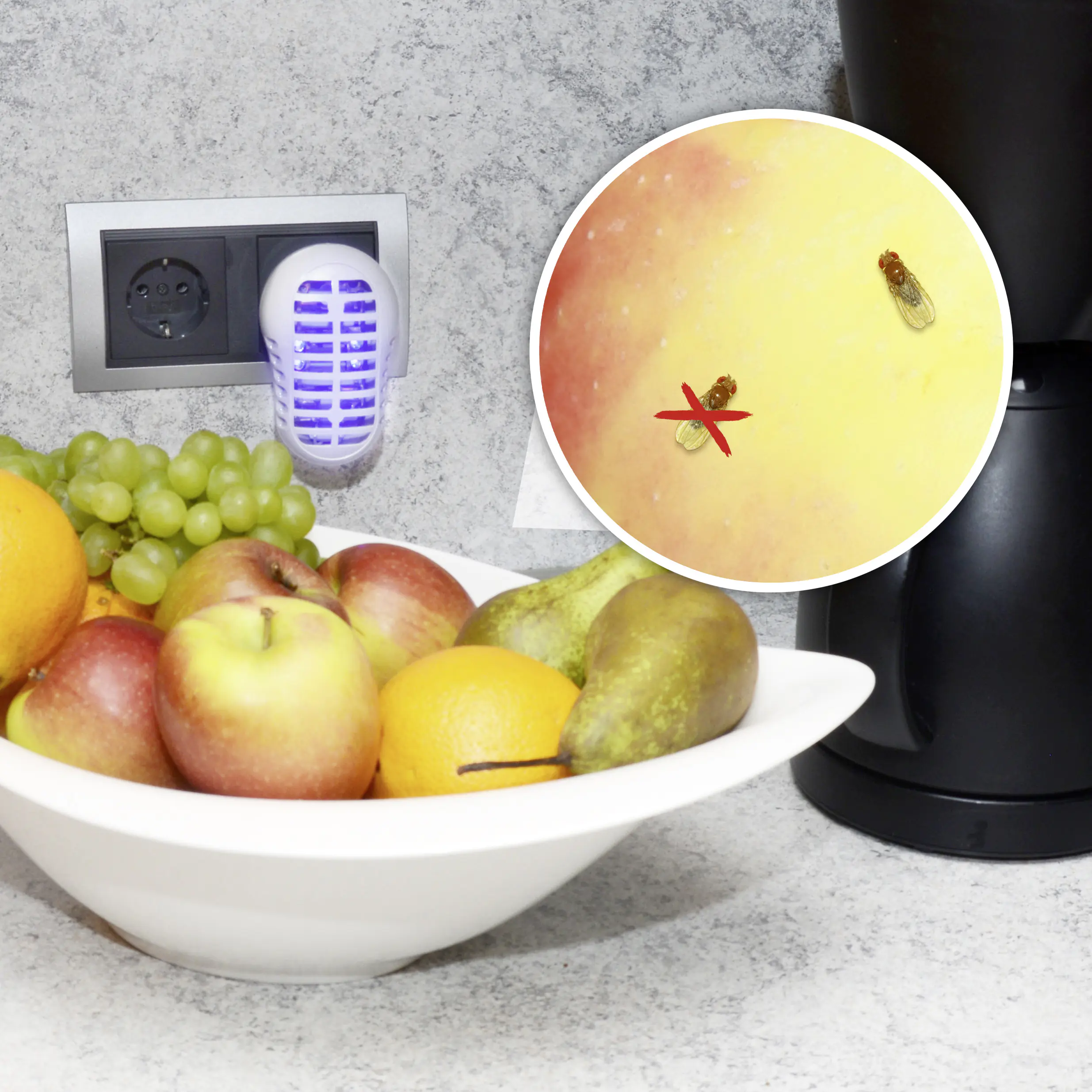 Gardigo Obstfliegen Vernichter