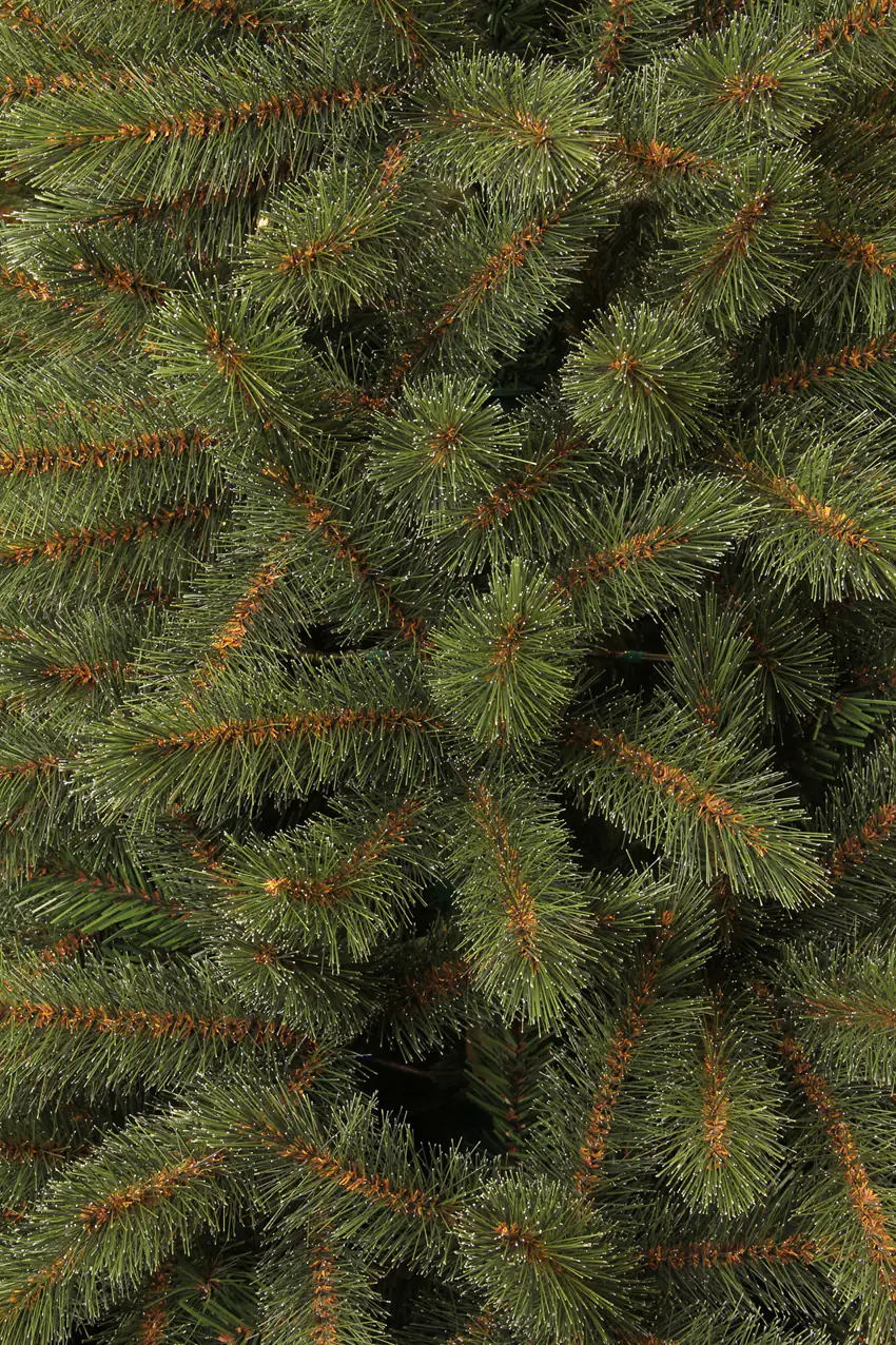 Black Box Trees Weihnachtsbaum Toronto grün 120 cm Black Box Trees Weihnachtsbaum Toronto grün 120 cm