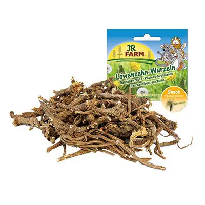JR Löwenzahn-Wurzeln