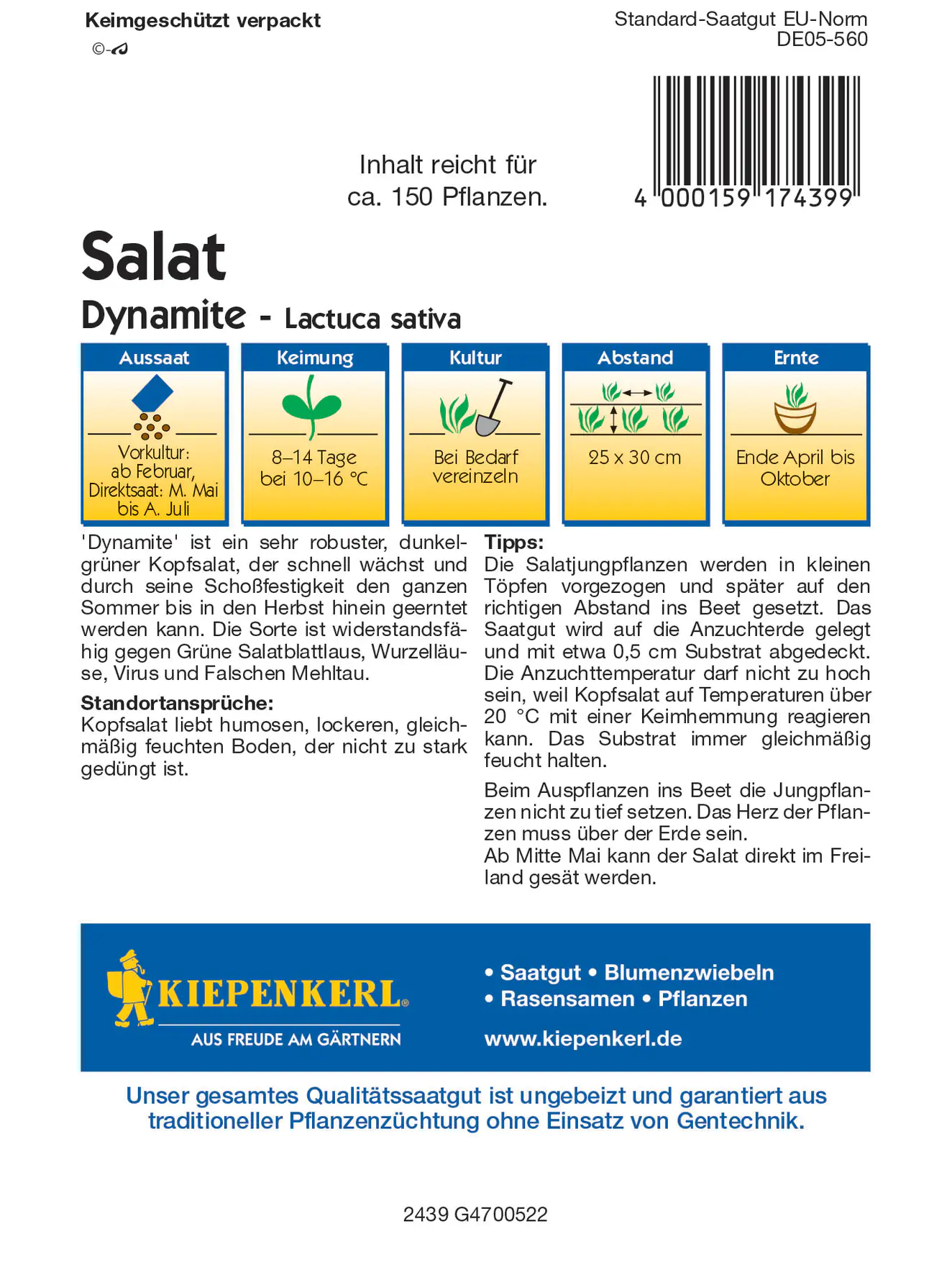 Kiepenkerl Kopfsalat Dynamite Kiepenkerl Kopfsalat Dynamite