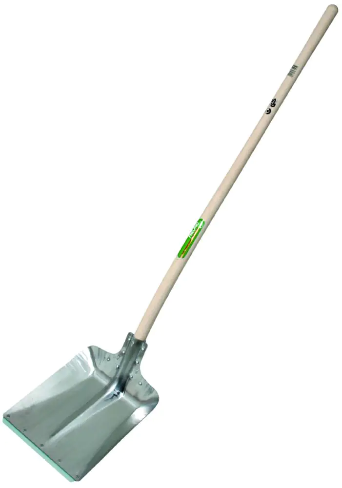 Freund Victoria Hallenser Flachrandschaufel silber Freund Victoria Hallenser Flachrandschaufel silber