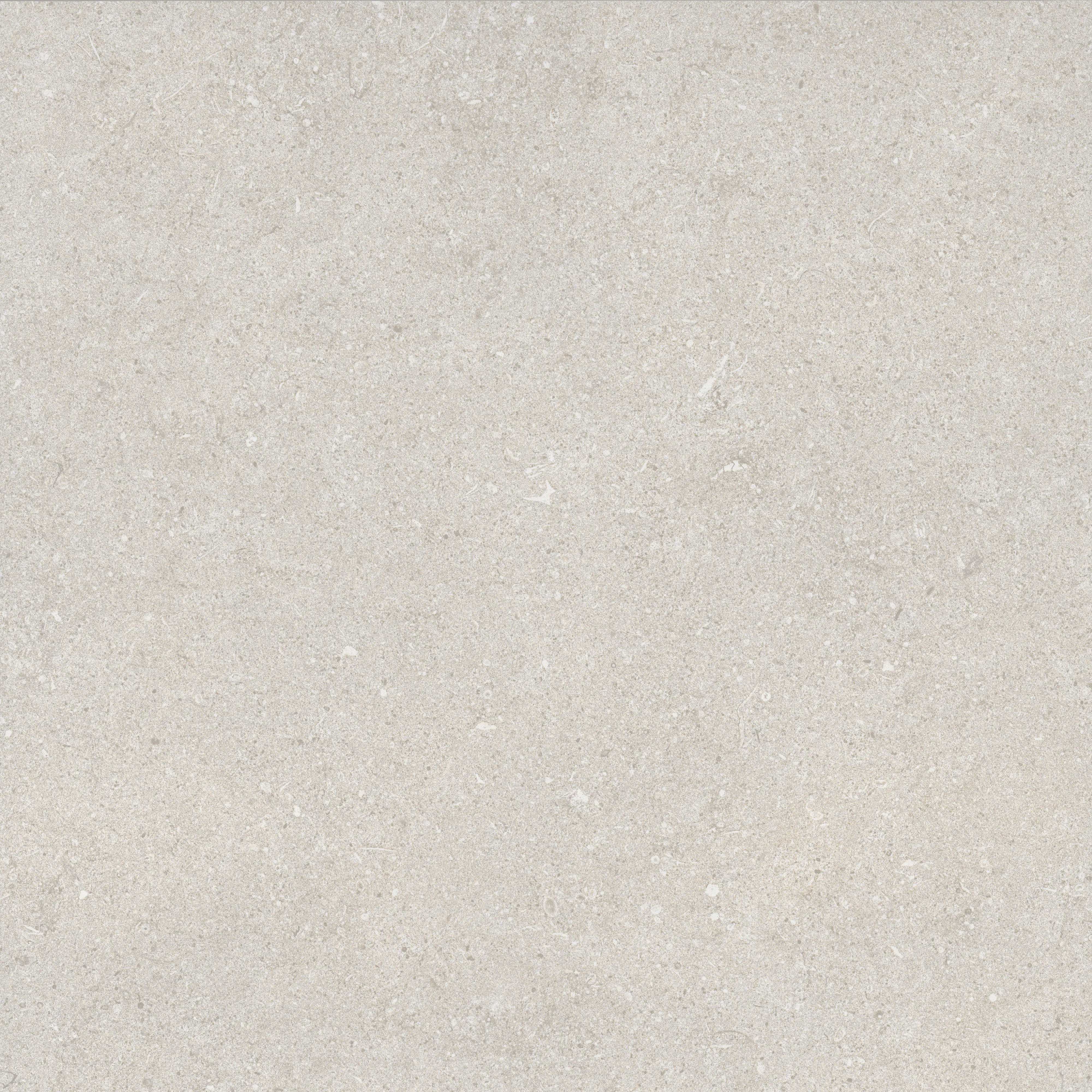 Bodenfliese Feinsteinzeug Sensi 60 x 60 cm grau