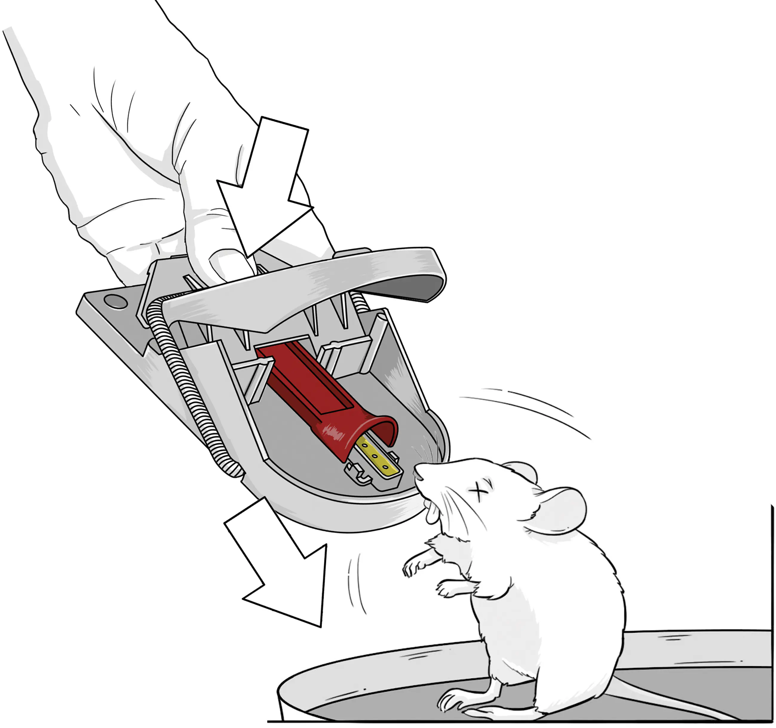 Swissinno Mausefalle PRO SuperCat inkl. Erdnussbutter-Köder