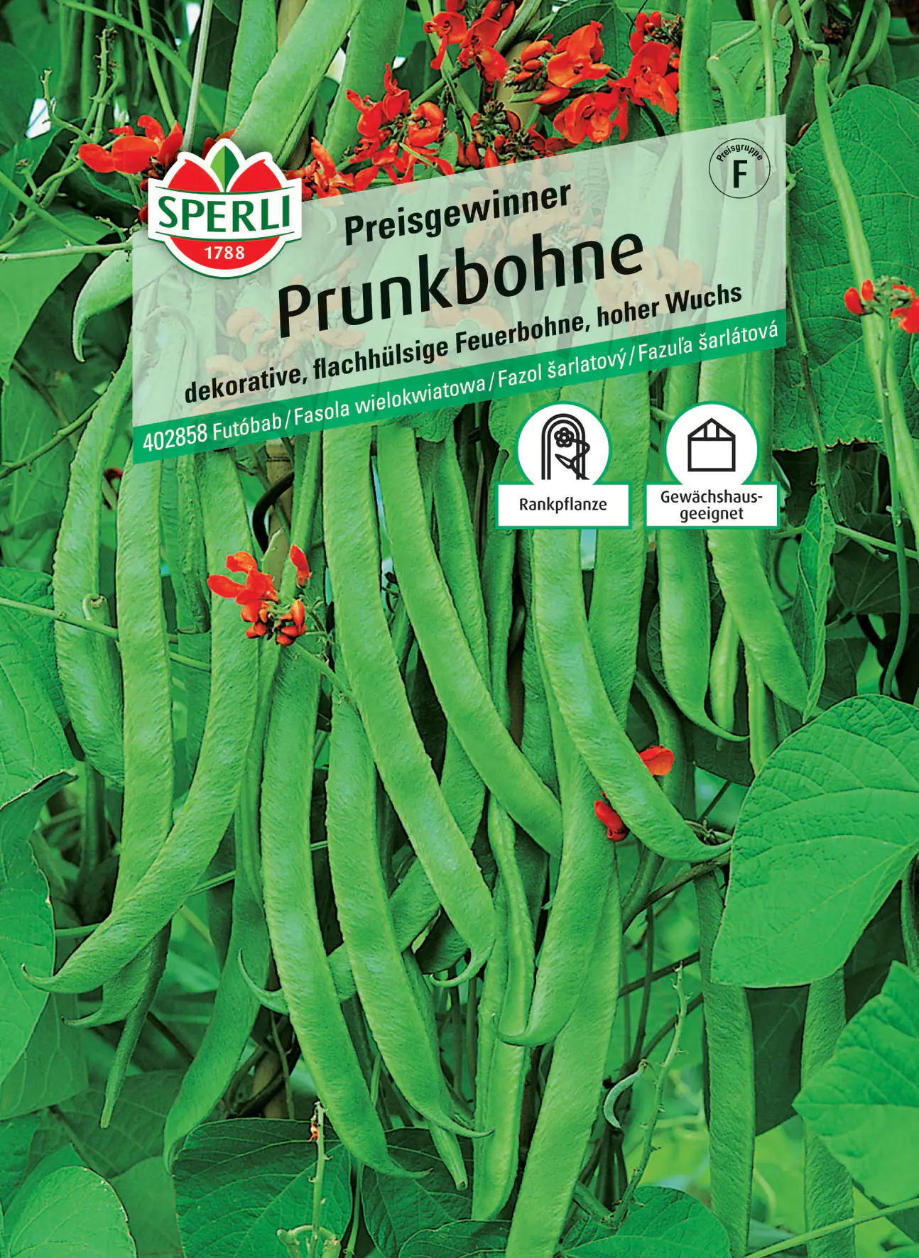 Sperli Prunkbohne Preisgewinner