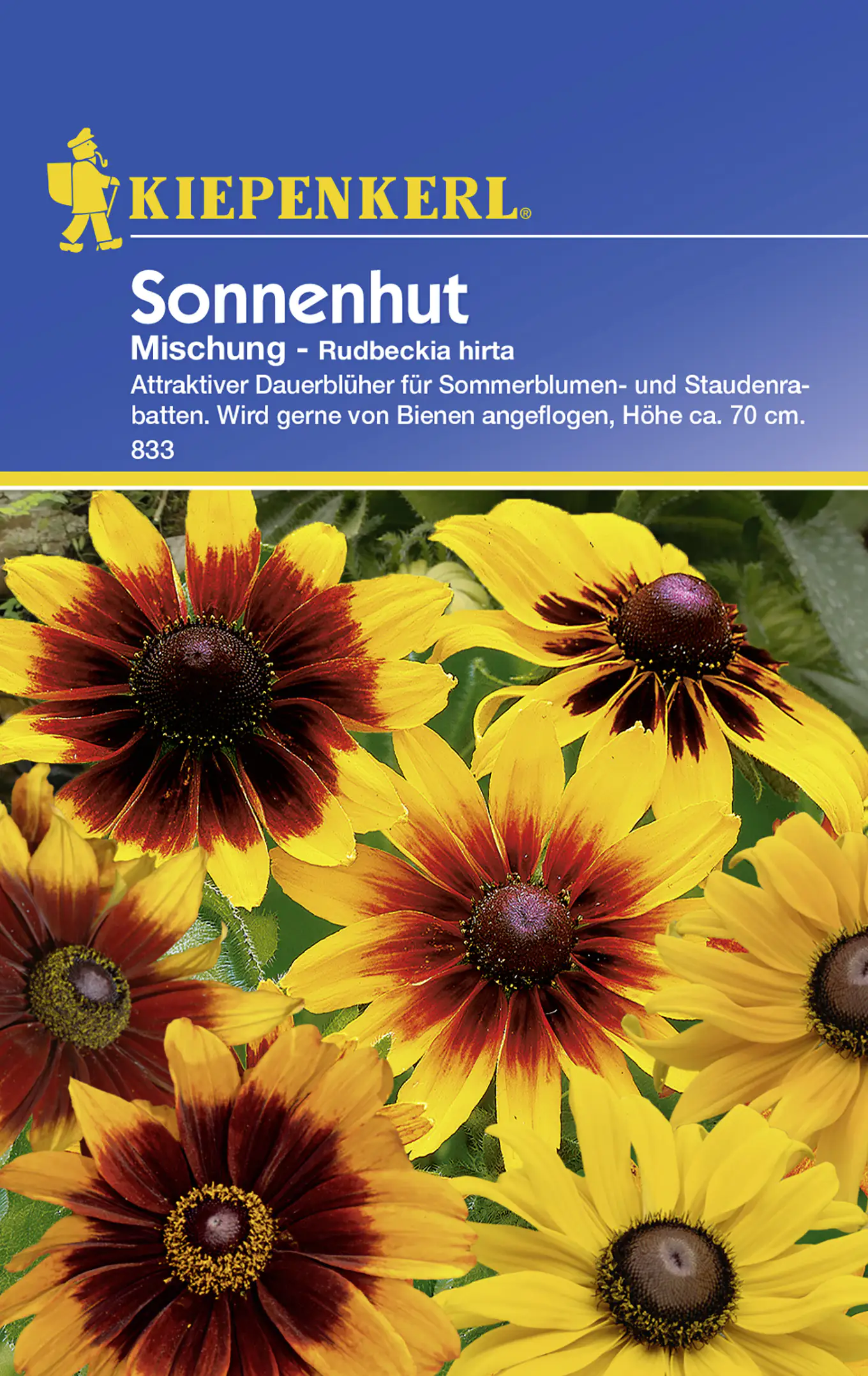 Kiepenkerl Sonnenhut Mischung Rudbeckia hirta, Inhalt: ca. 50 Pflanzen