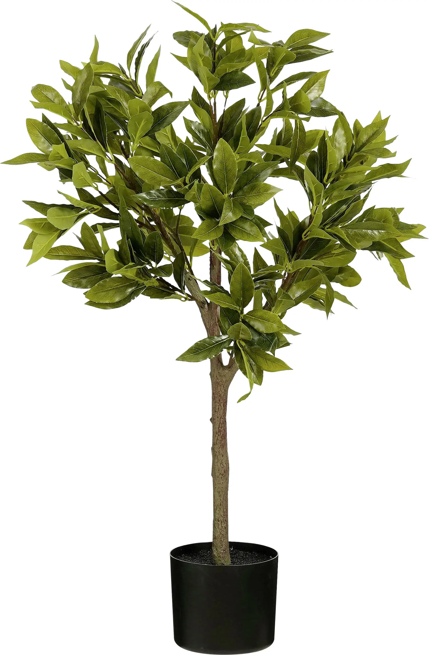 Mica Decorations Kunstpflanze Laurel Baum im Topf grün Ø 25 x 90 cm