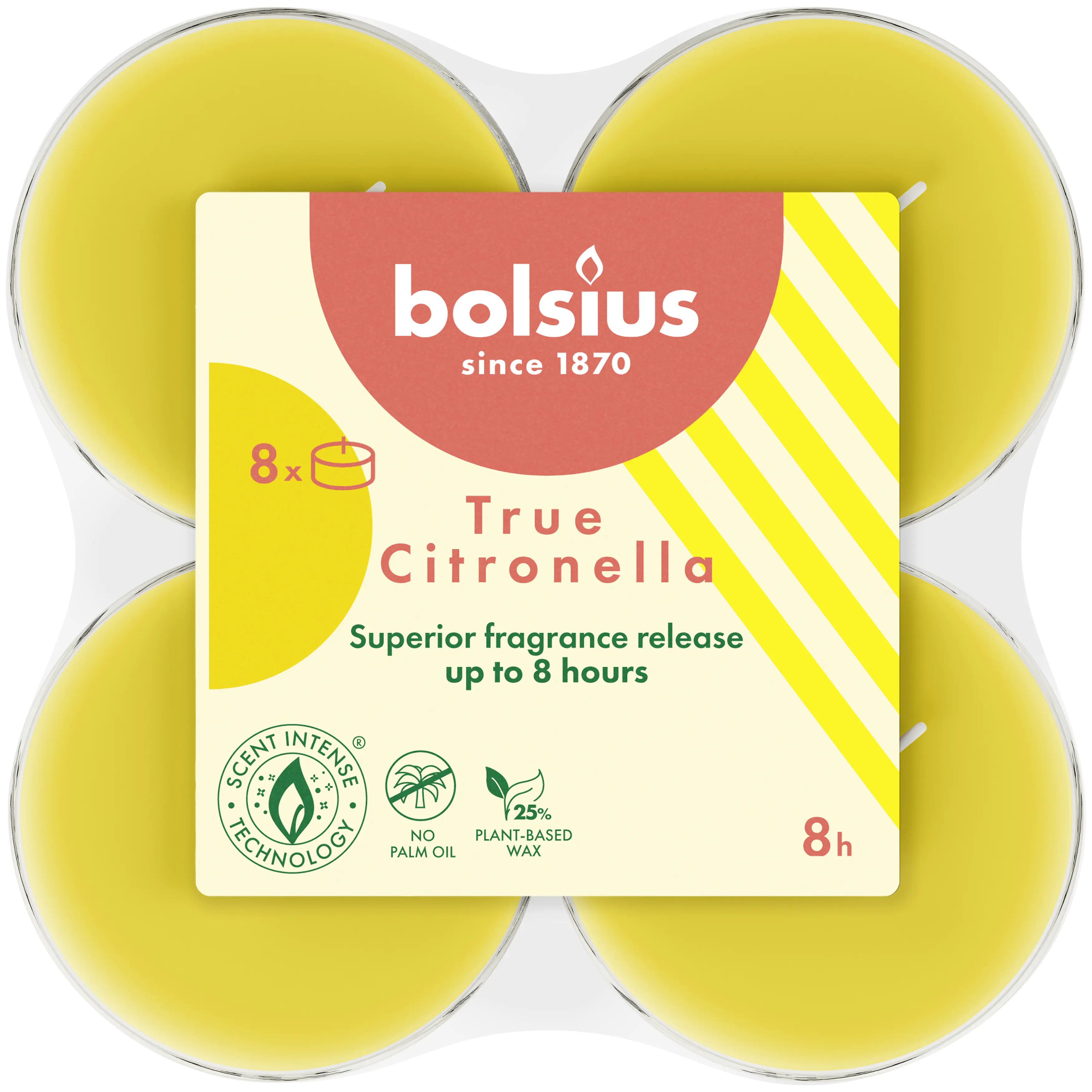 Bolsius Maxi-Lichte Citronella 8er Pack 
