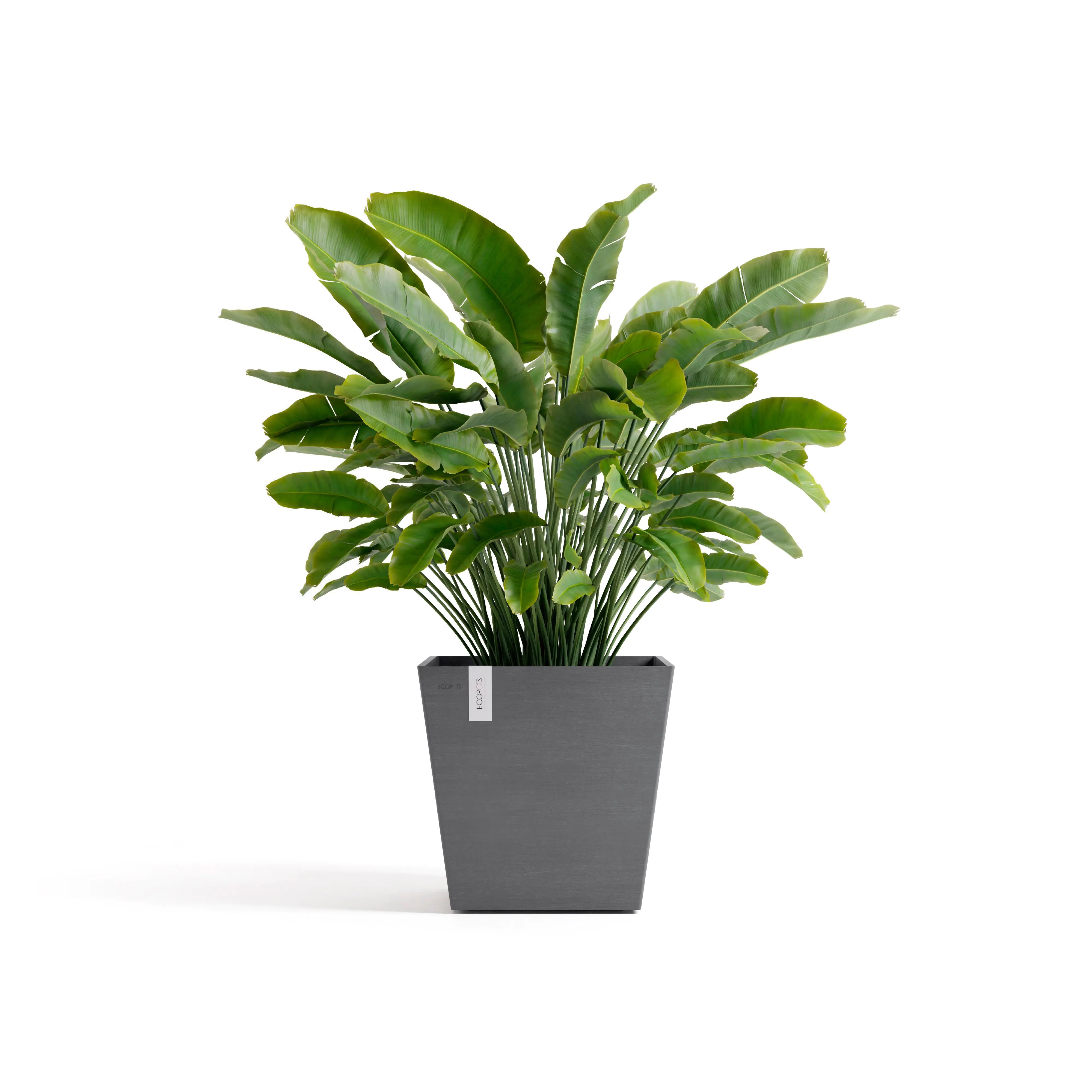 Ecopots Pflanztopf Rotterdam 45 x 45 x 44 cm grau Ecopots Pflanztopf Rotterdam 45 x 45 x 44 cm grau