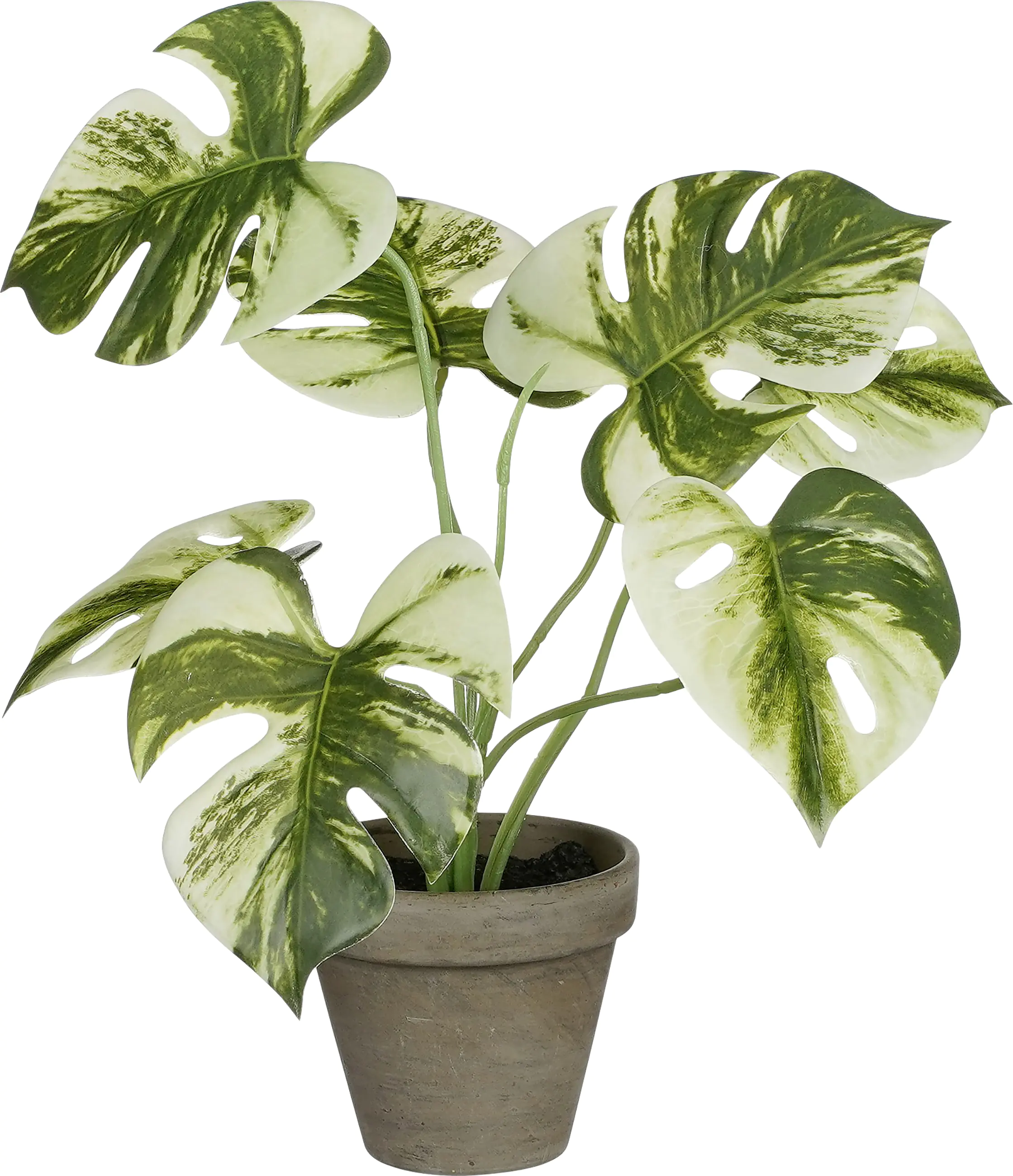 Mica Decorations Monstera  polypropylene 30 x 24 cm grün Mica Decorations Monstera  polypropylene 30 x 24 cm grün