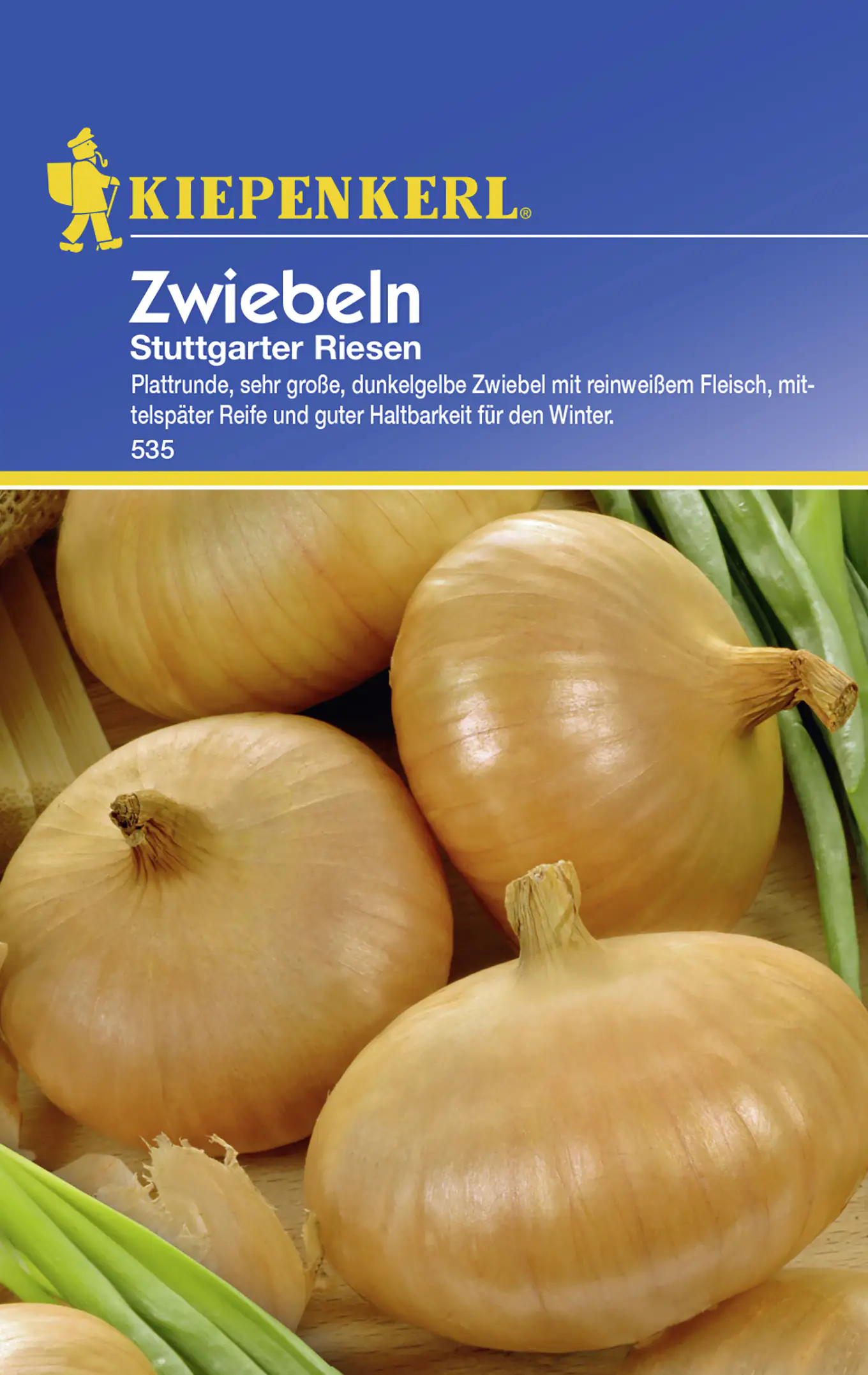 Kiepenkerl Zwiebel Stuttgarter Riesen Allium cepa, Inhalt: ca. 6 lfd. Meter