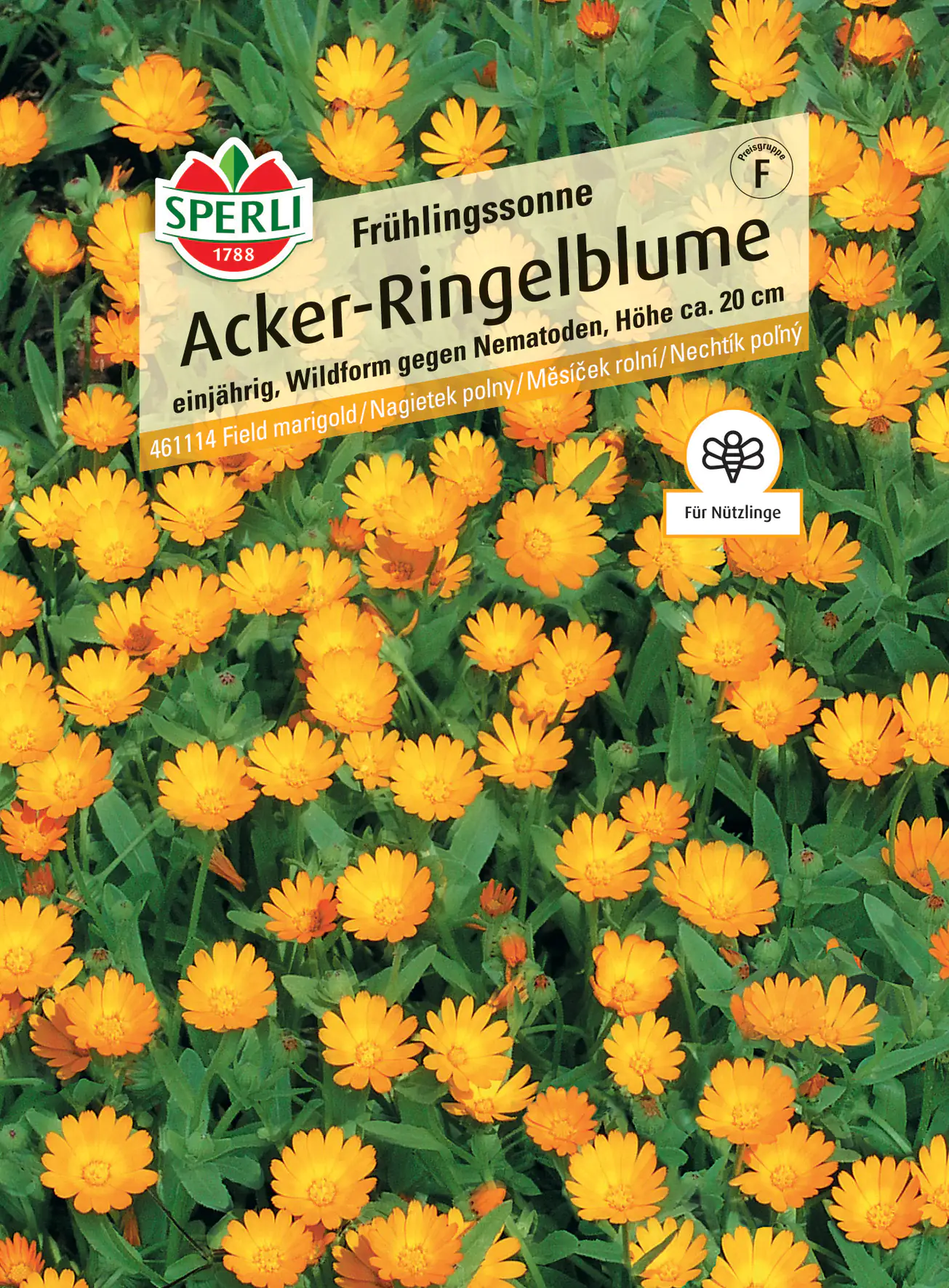 Sperli Acker-Ringelblume Frühlingssonne