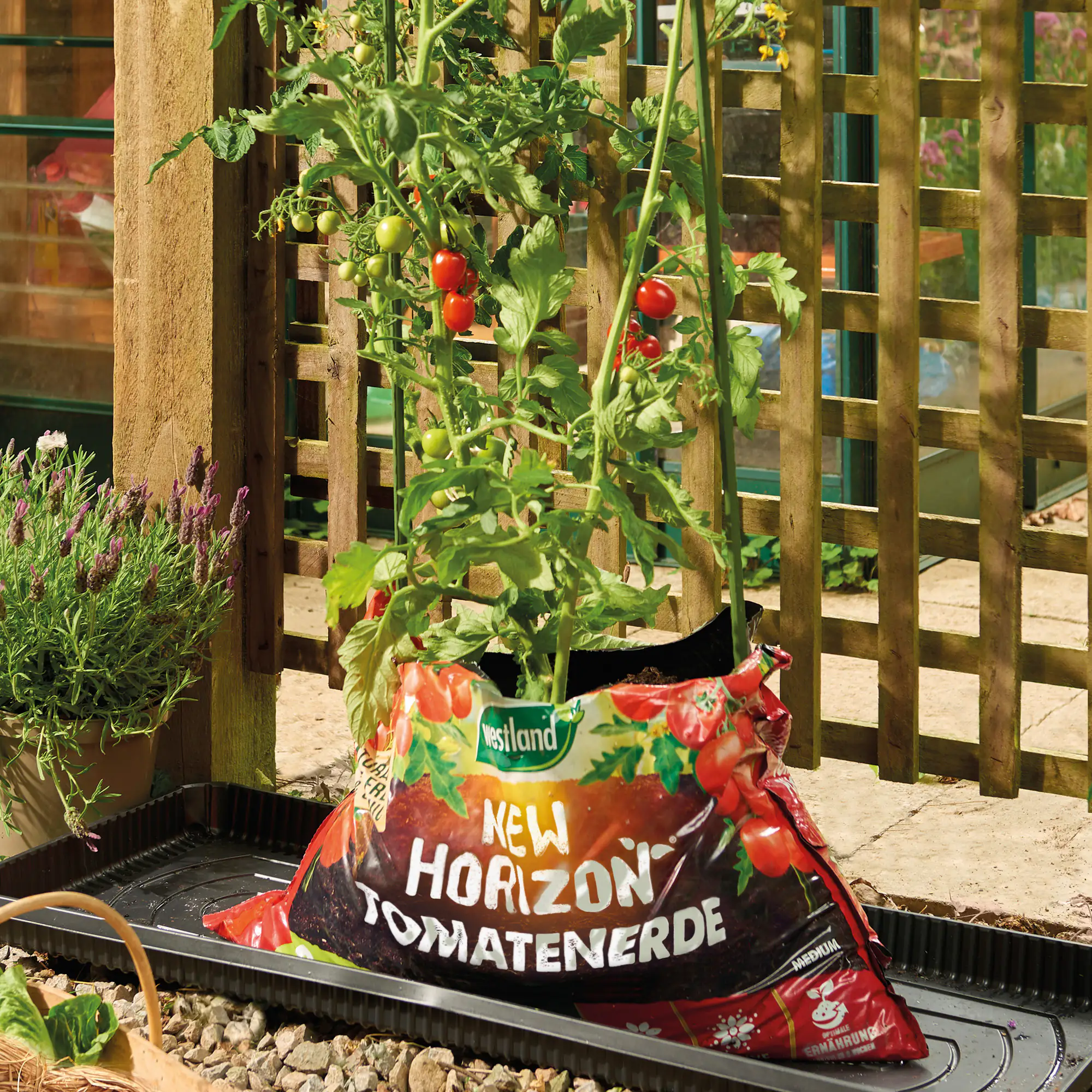 Westland New Horizon torffreie Tomatenerde 20 l