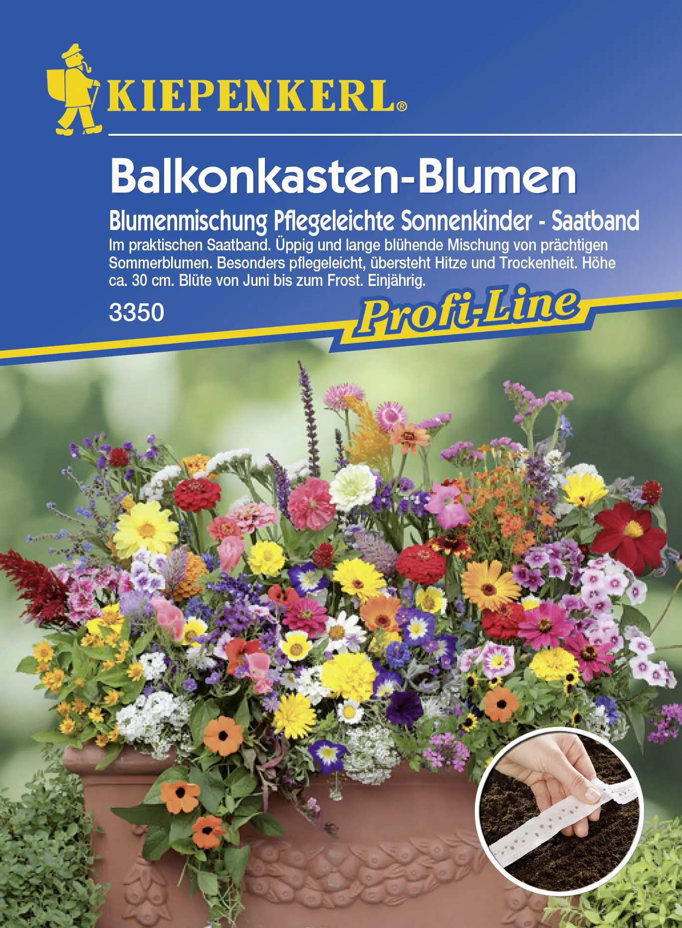 Kiepenkerl Balkonkasten-Blumen Pflegeleichte Sonnenkinder Inhalt: ca. 5 lfd. Meter