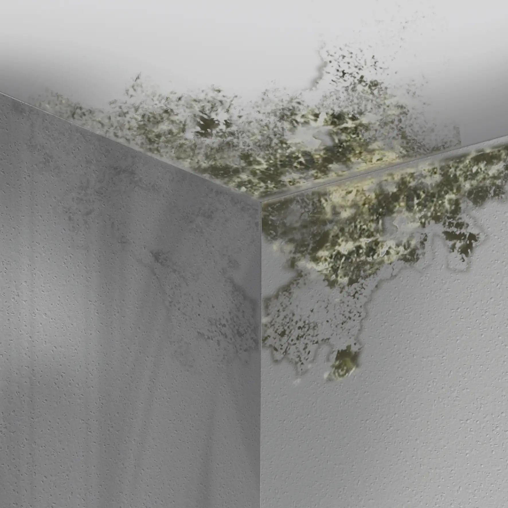 MEM Schimmel-Entferner 500 ml