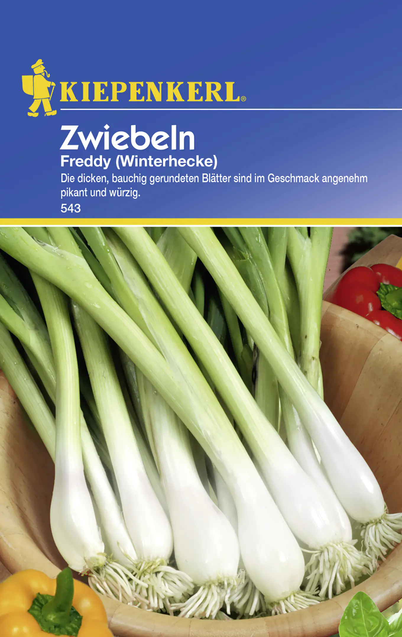 Kiepenkerl Zwiebel Freddy Allium fistulosum, Inhalt: ca. 4 lfd. Meter