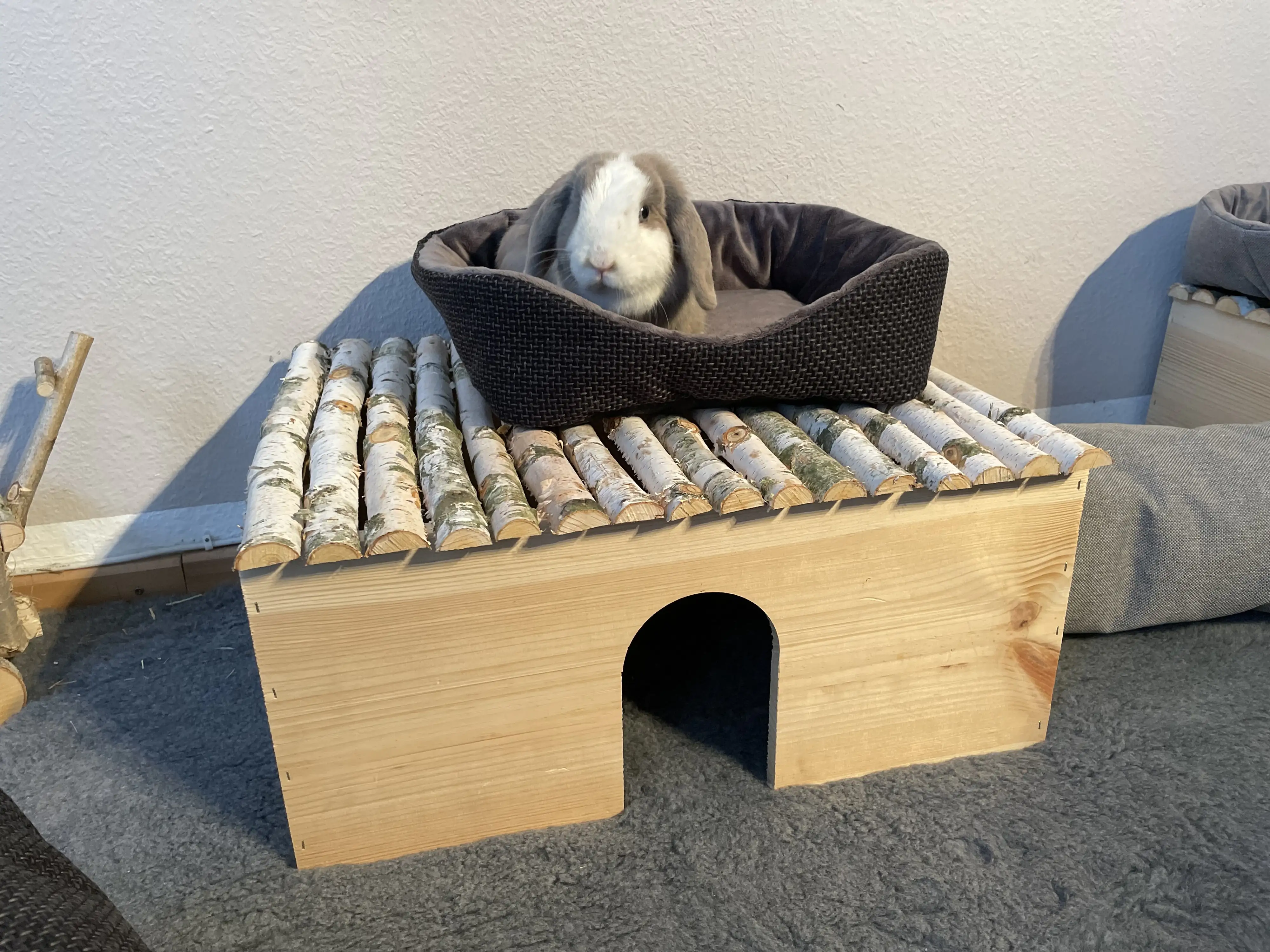 Ollesch Nagerbett Bijou 35 x 35 x 12 cm grau