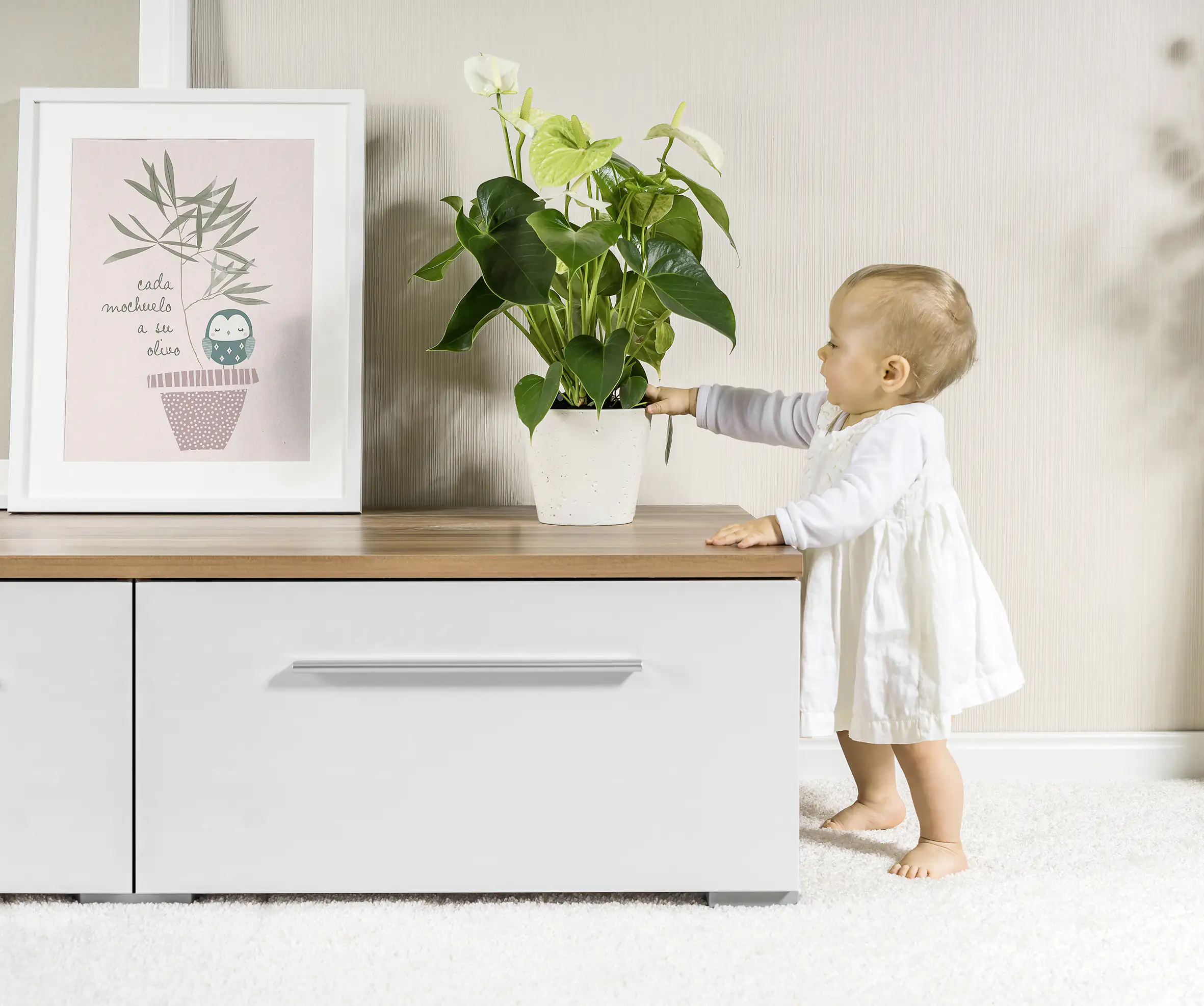 4013283830116_2067878 Reer Pflanzenschutznetz Ø 20 cm