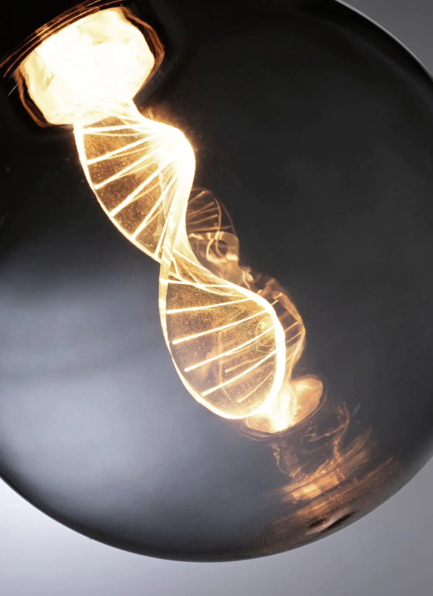 Paulmann LED Globe G125 Inner Glow Helix E27 3,5W rauch