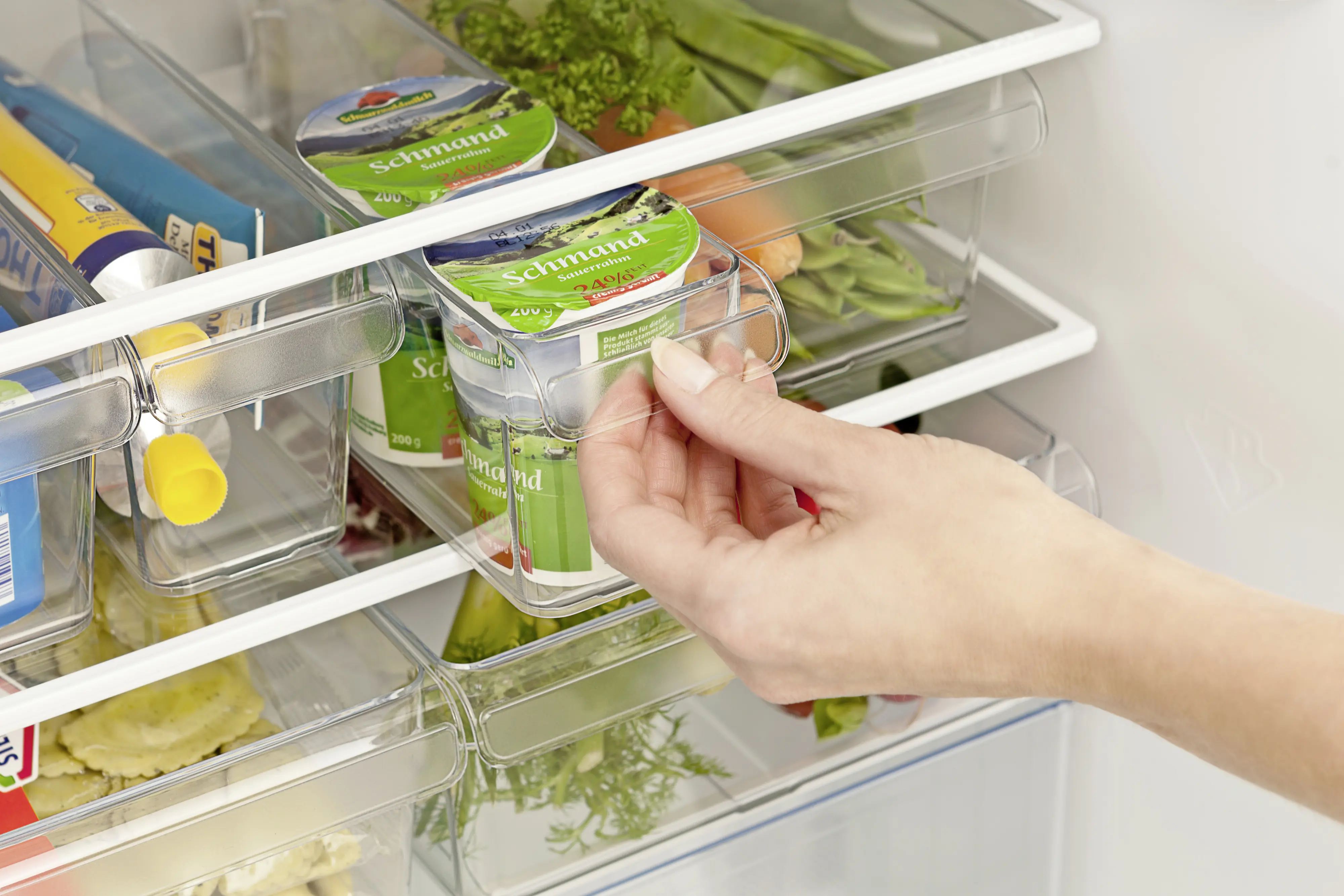 Rotho Kühlschrankorganizer Loft 1,6 l