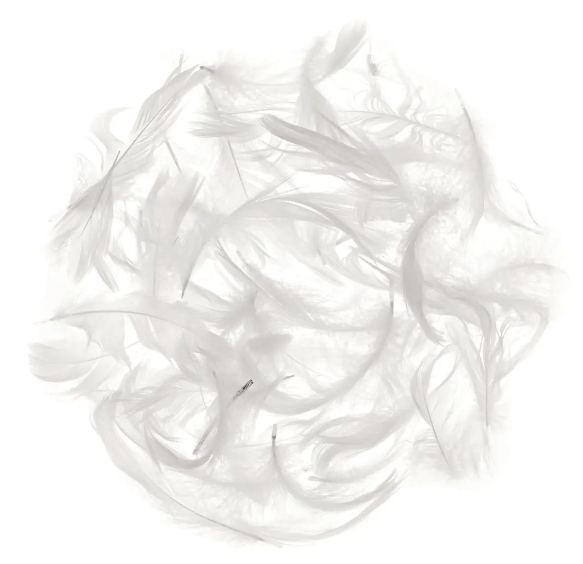 Glorex Marabufedern ca. 10 g weiß