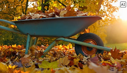 Eine Schubkarre voll Laub in bunten Herbstfarben steht im Garten