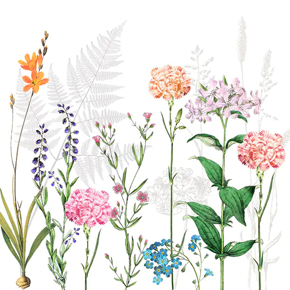 Braun & Company Servietten Motiv Botanica 33 x 33 cm - 20er Pack