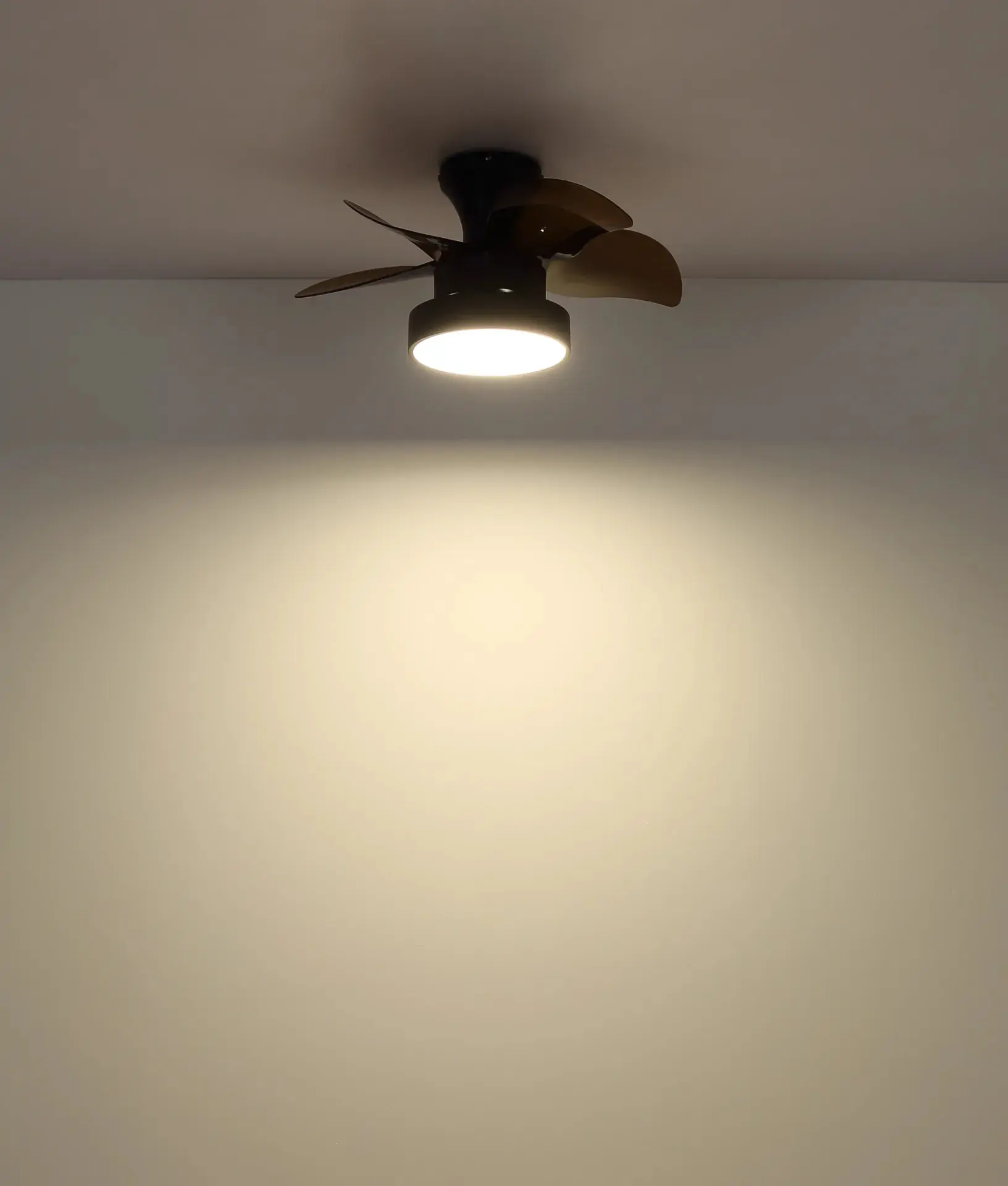 Globo Deckenventilator Kari Ø 58 cm 22 W schwarz matt CCT