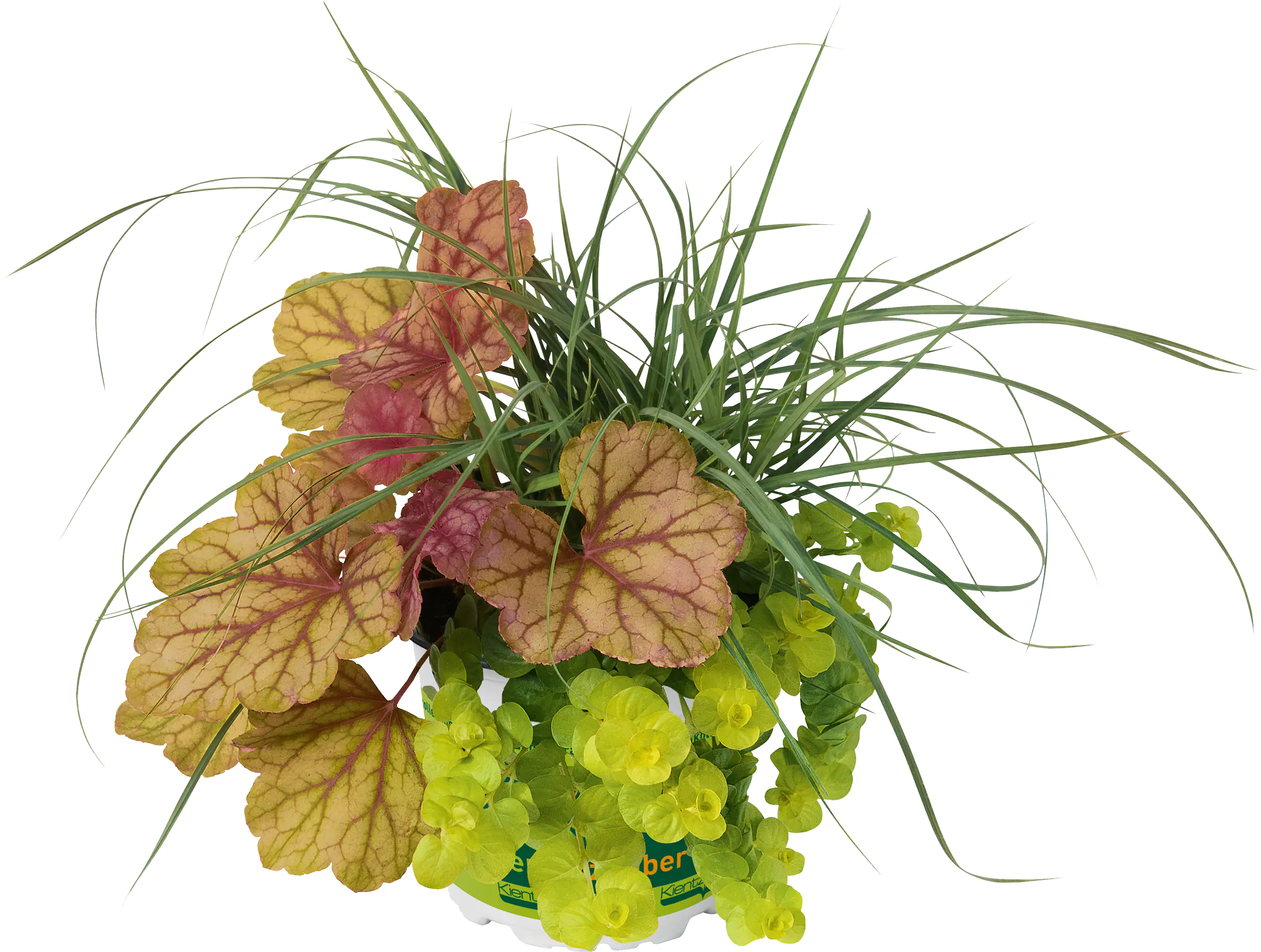Trio-Mio Herbstzauber 5 l Container Trio-Mio Herbstzauber 5 l Container