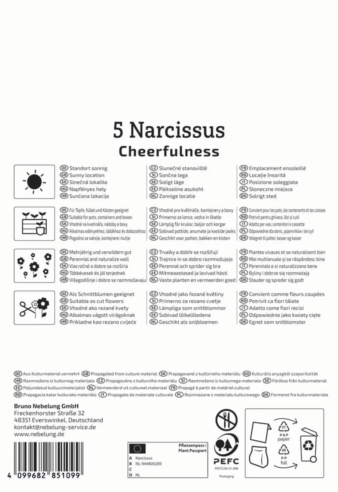 Kiepenkerl Herbstblumenzwiebel Poetaz-Narzisse Cheerfulness 5 Stück