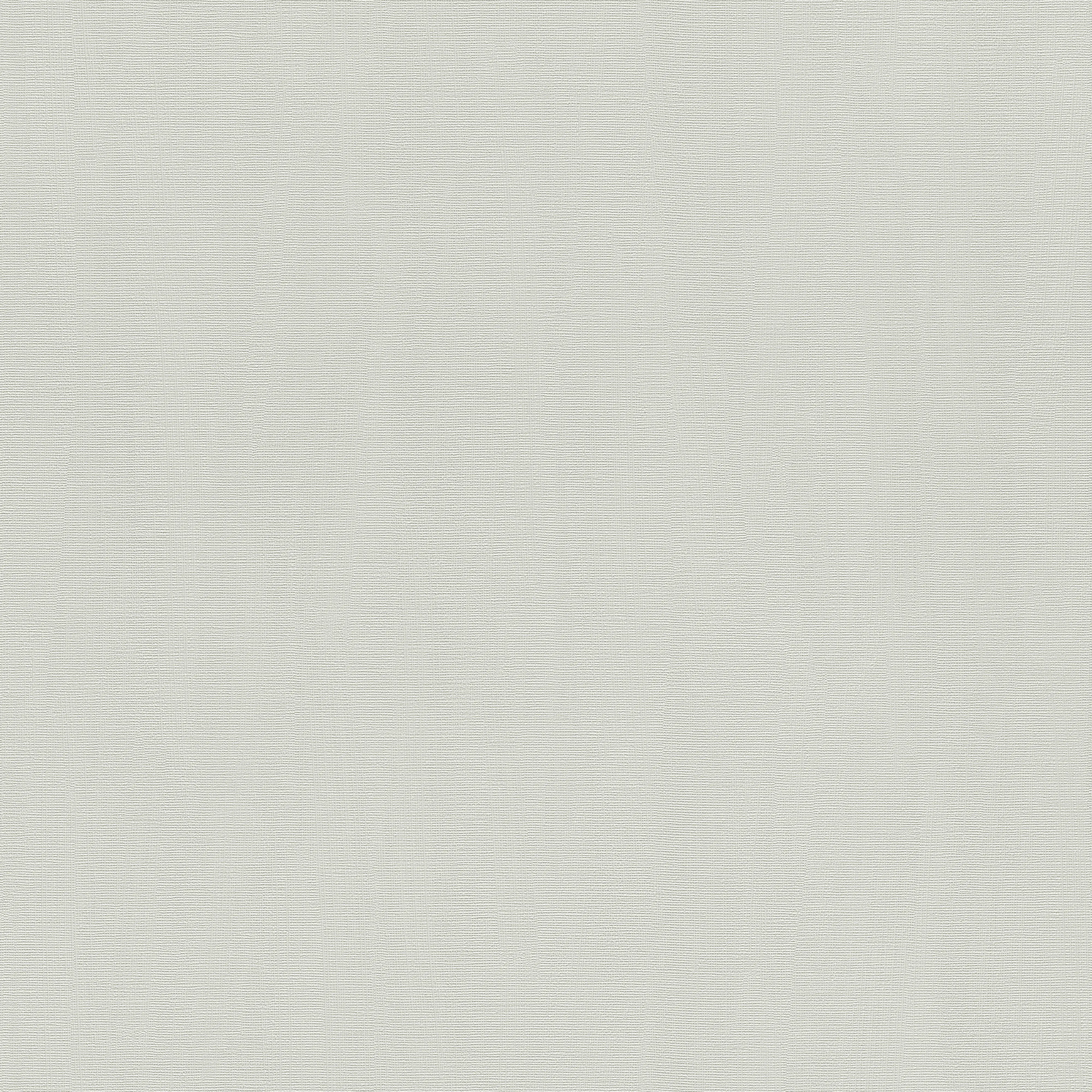 Rasch Vliestapete 411874 hyde Park uni grau 10,05 x 0,53 m Rasch Vliestapete 411874 hyde Park uni grau 10,05 x 0,53 m