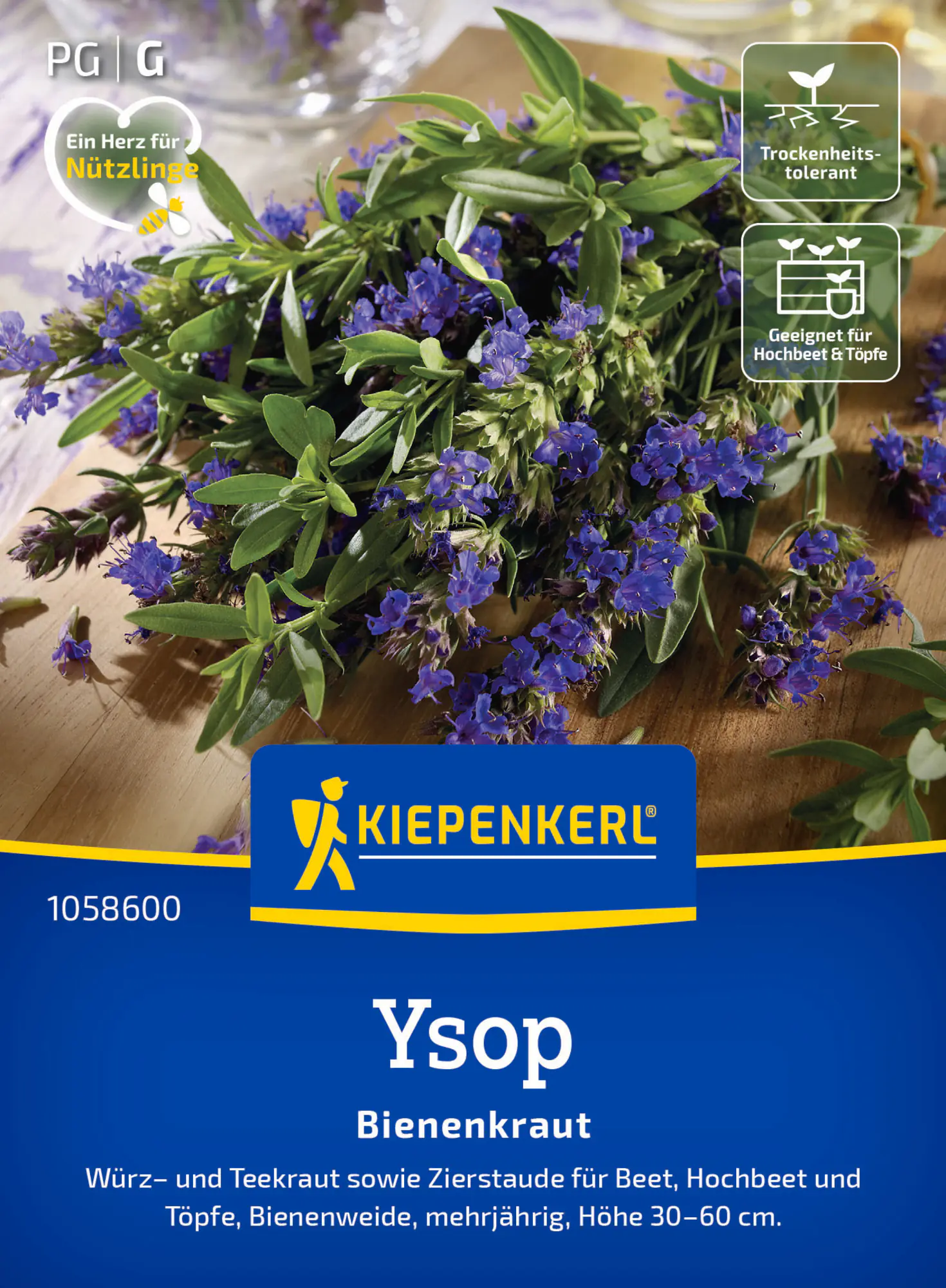 Kiepenkerl Saatgut Ysopsamen Bienenkraut für ca. 100 Pflanzen