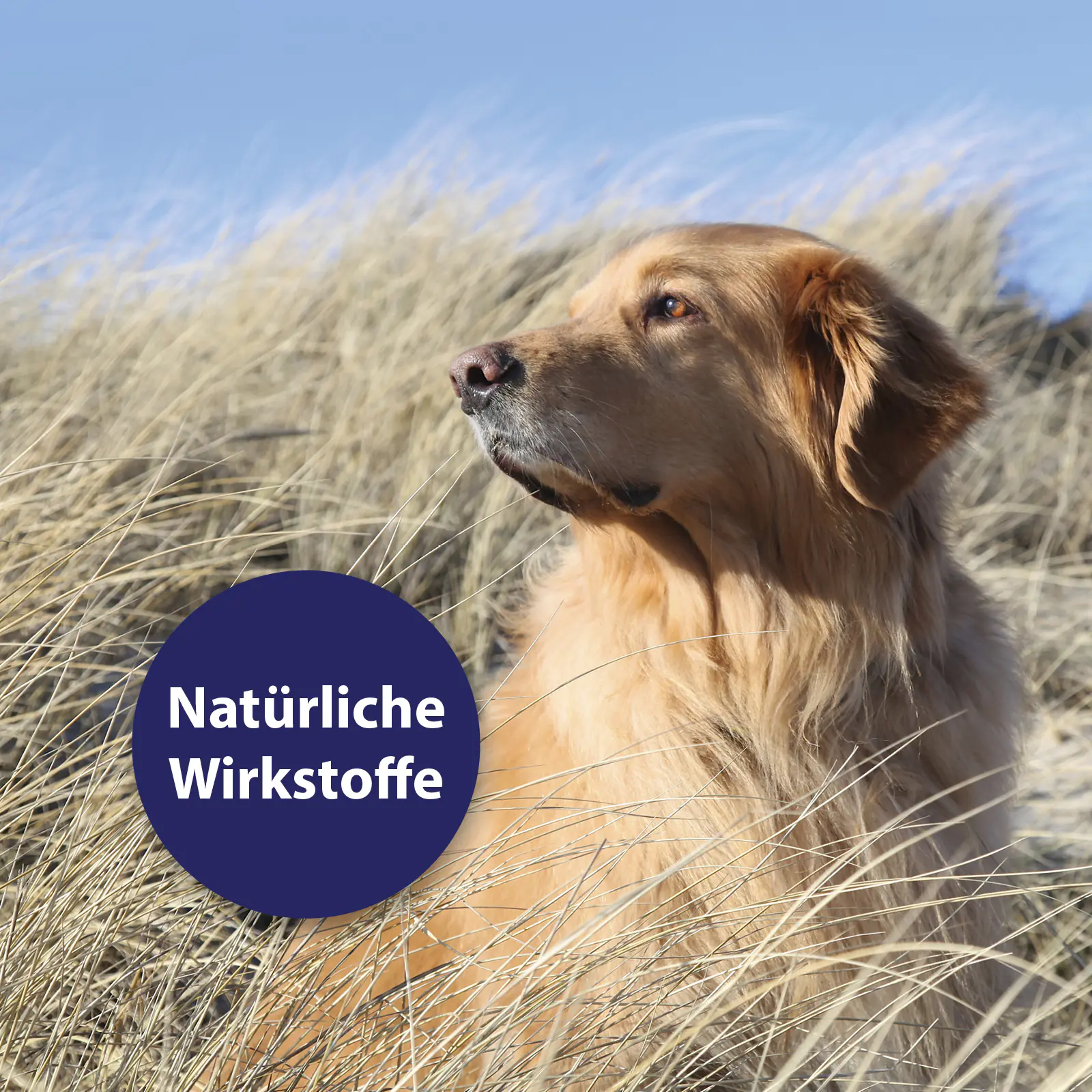 Canospet Hautpflegespray für Hunde 250 ml