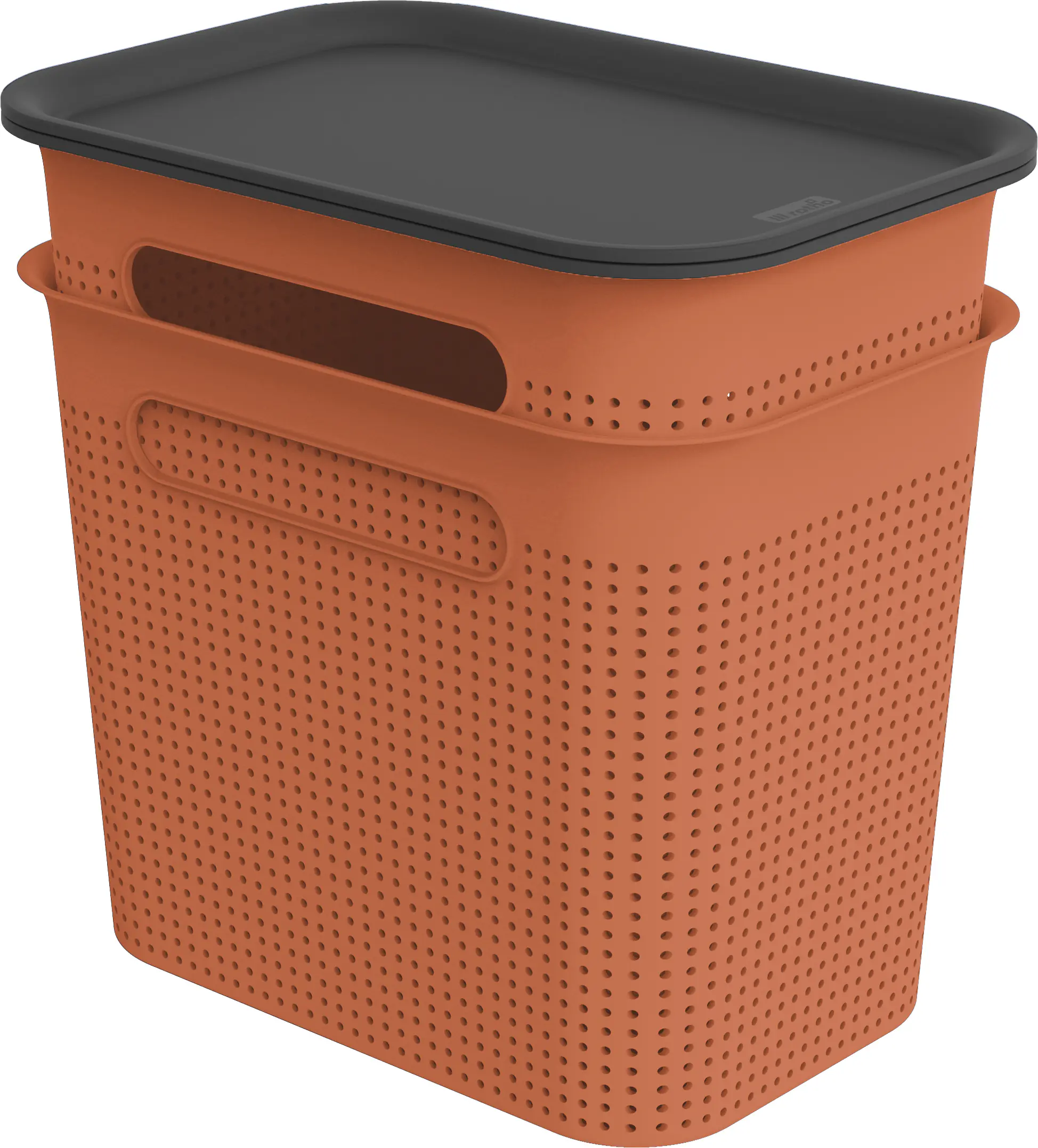 Rotho Aufbewahrungsbox Brisen mit Deckel 26,6 x 18,5 cm 7 L clay koralle 2er Set