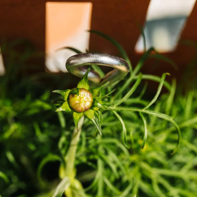 Bellissa Pflanzenstütze Mainau 150