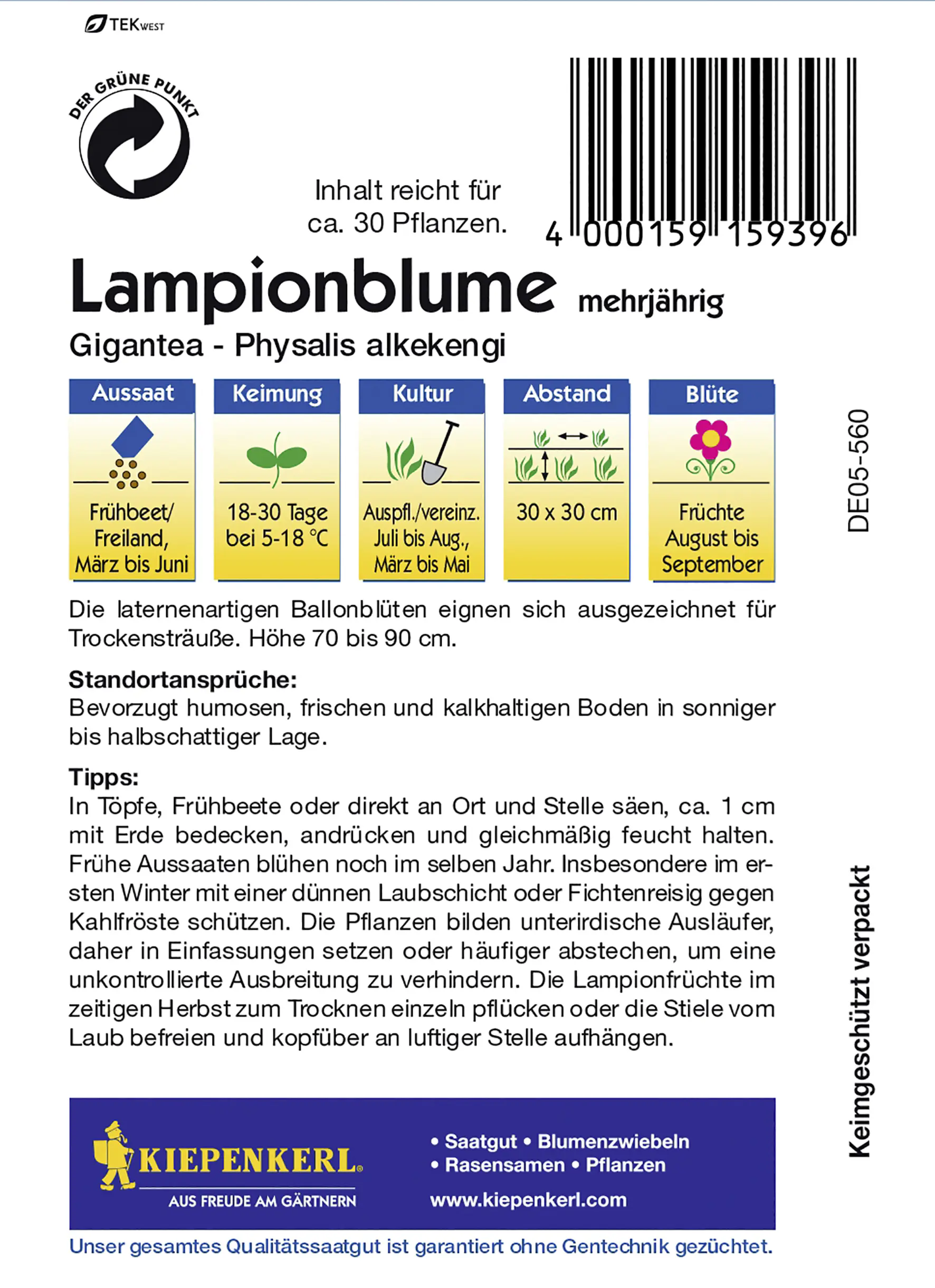 Kiepenkerl Lampionblume Gigantea Inhalt reicht für ca. 30 Pflanzen