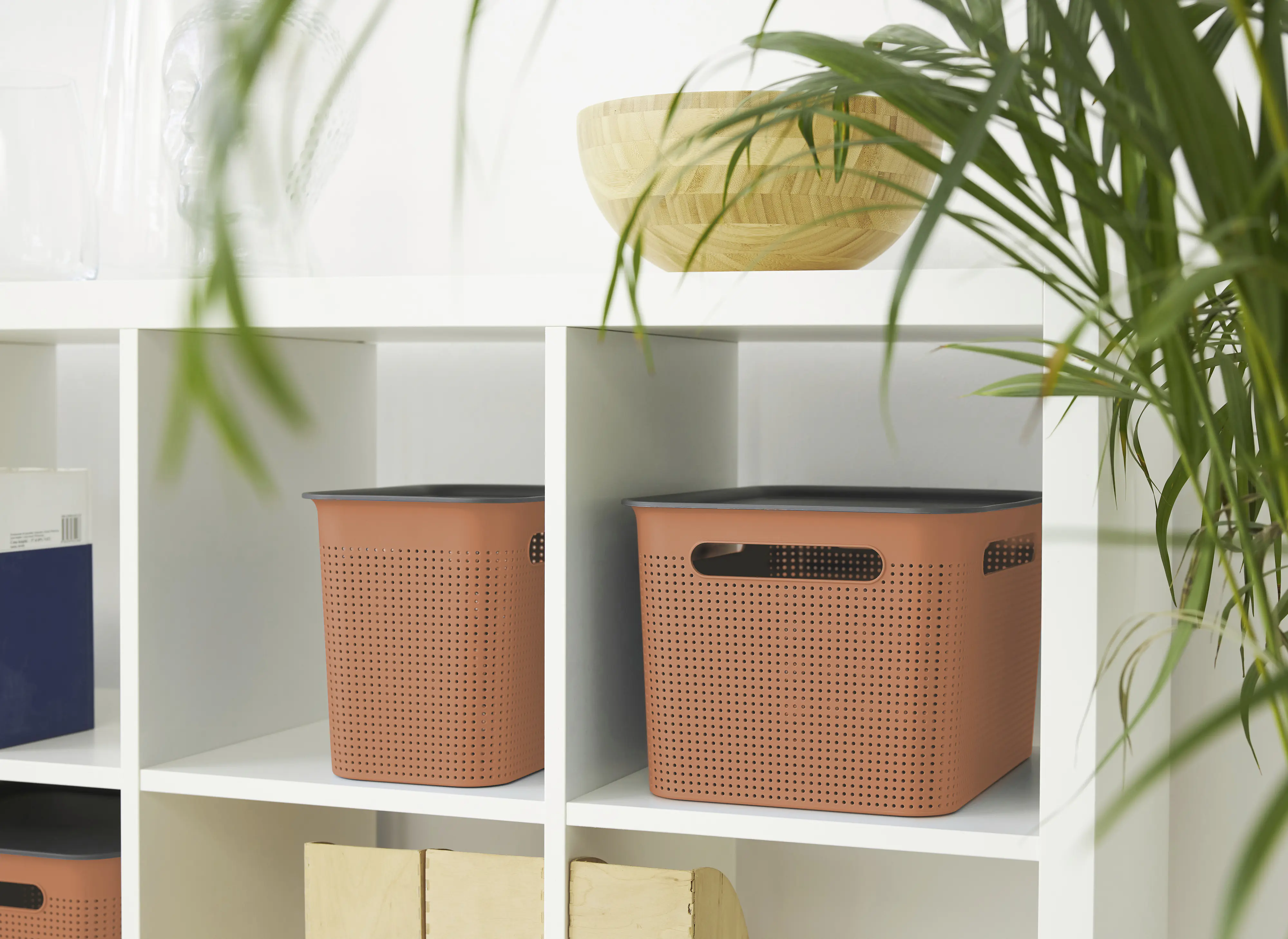 Rotho Aufbewahrungsbox Brisen 26,2 x 18 cm 7 L coral clay gedeckt