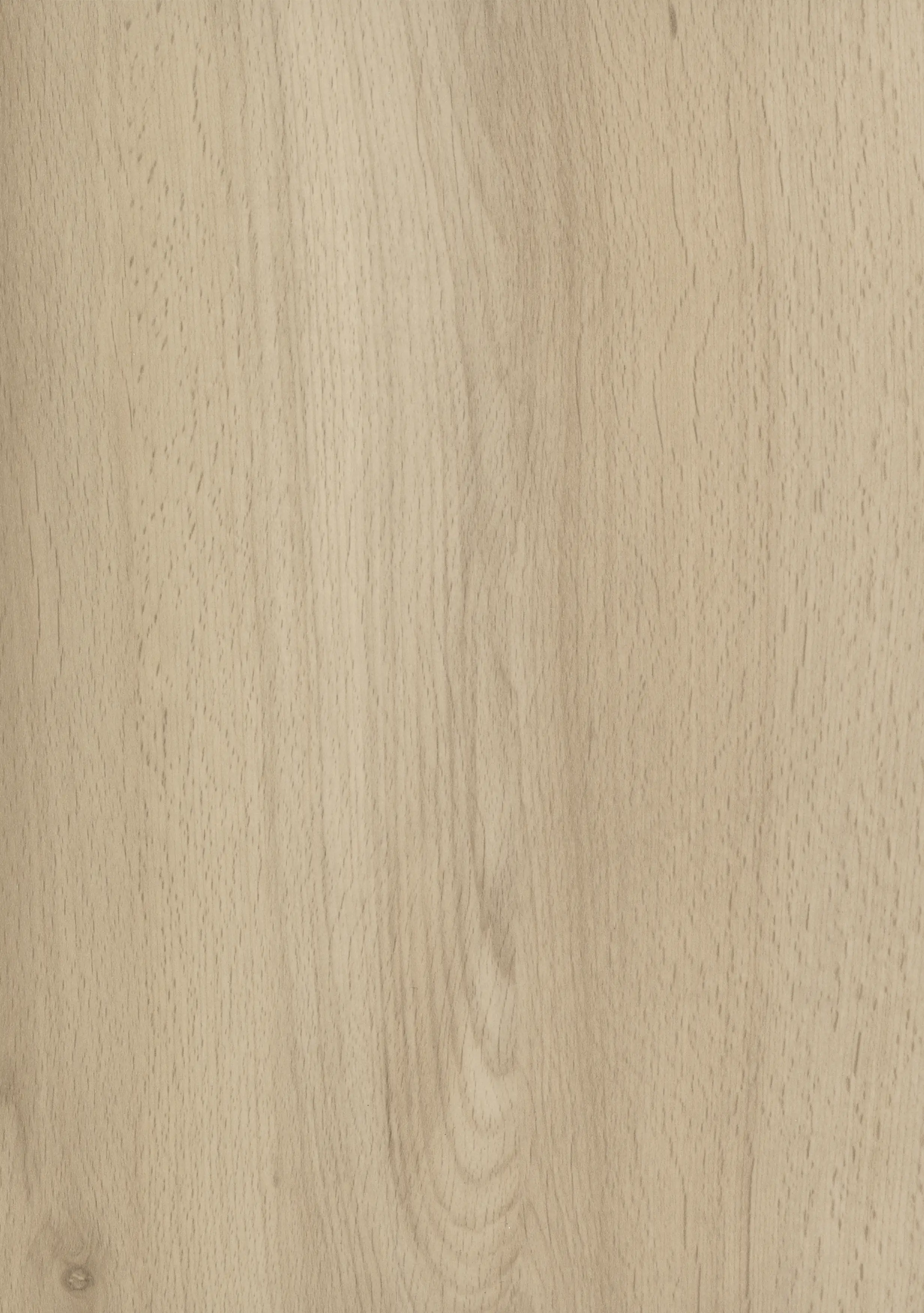 Getalit Wandanschlußsystem Plus 300 cm, 20 x 30 mm, BU370SI semper buche