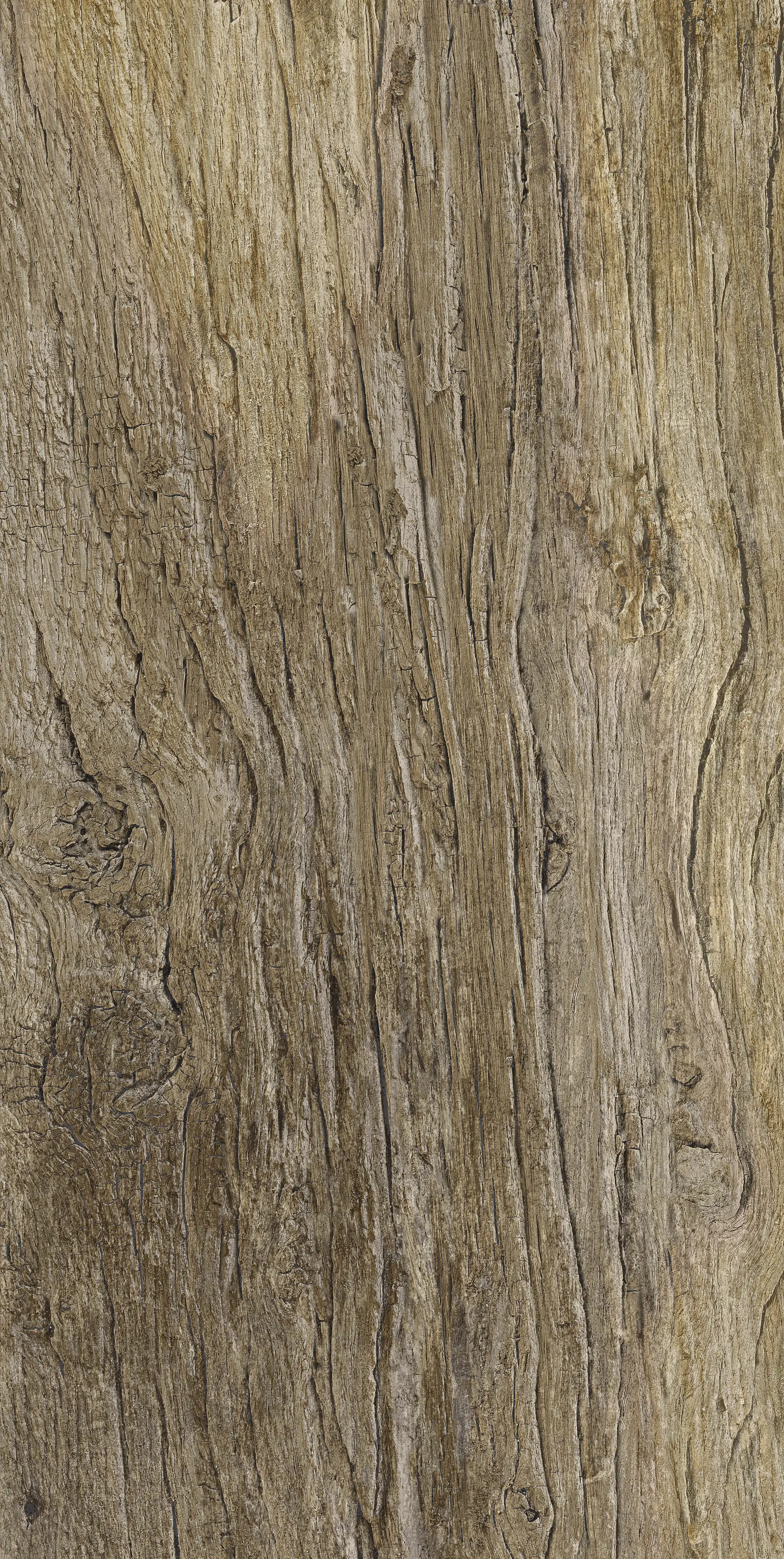 Bodenfliese Feinsteinzeug Radice 31 x 62 cm noce