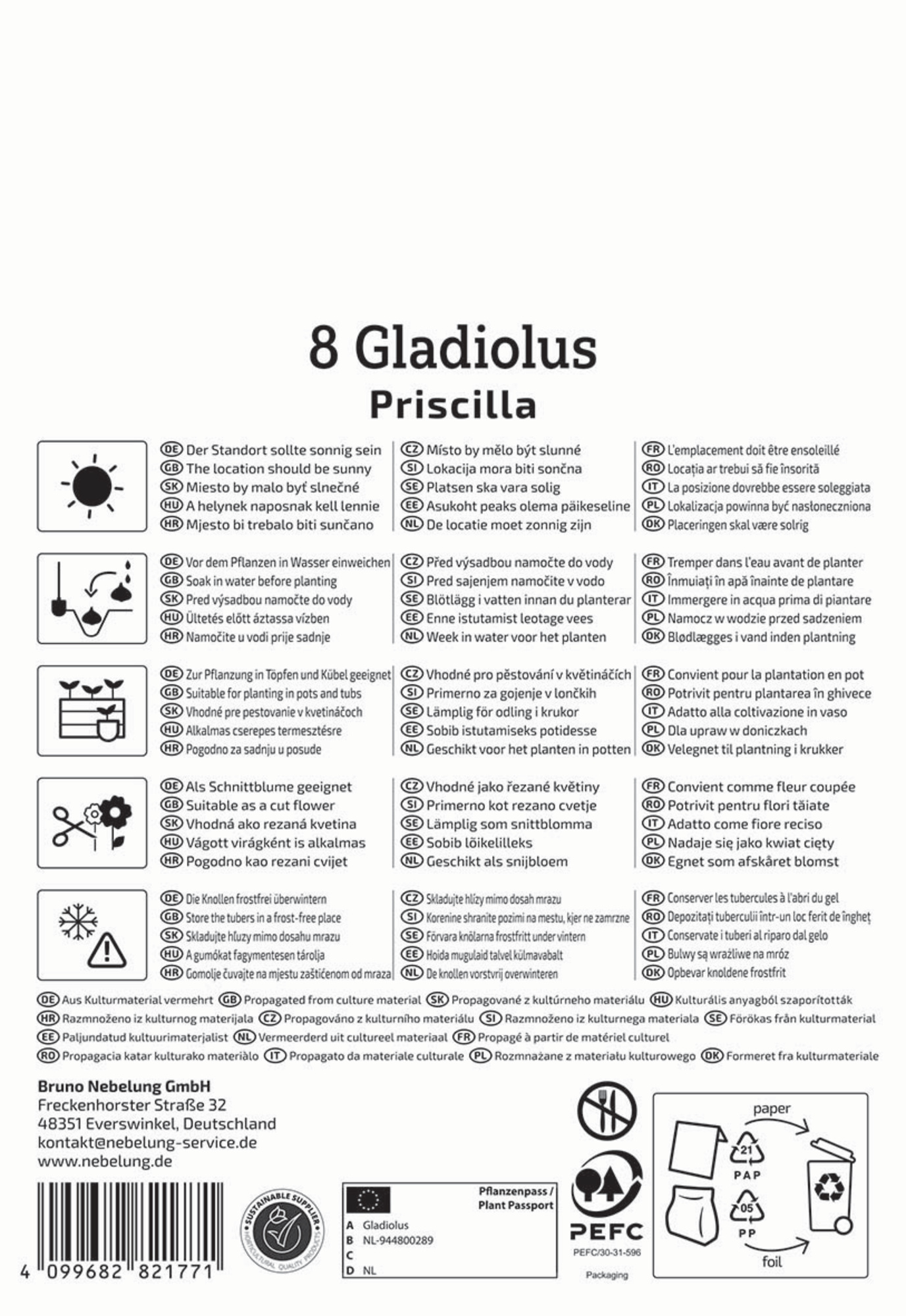 Kiepenkerl Frühjahrsblumenzwiebel Großblumige Gladiole Priscilla 8 Stück