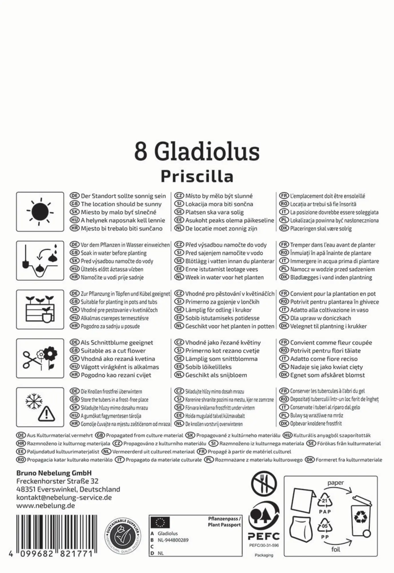 Kiepenkerl Frühjahrsblumenzwiebel Großblumige Gladiole Priscilla 8 Stück