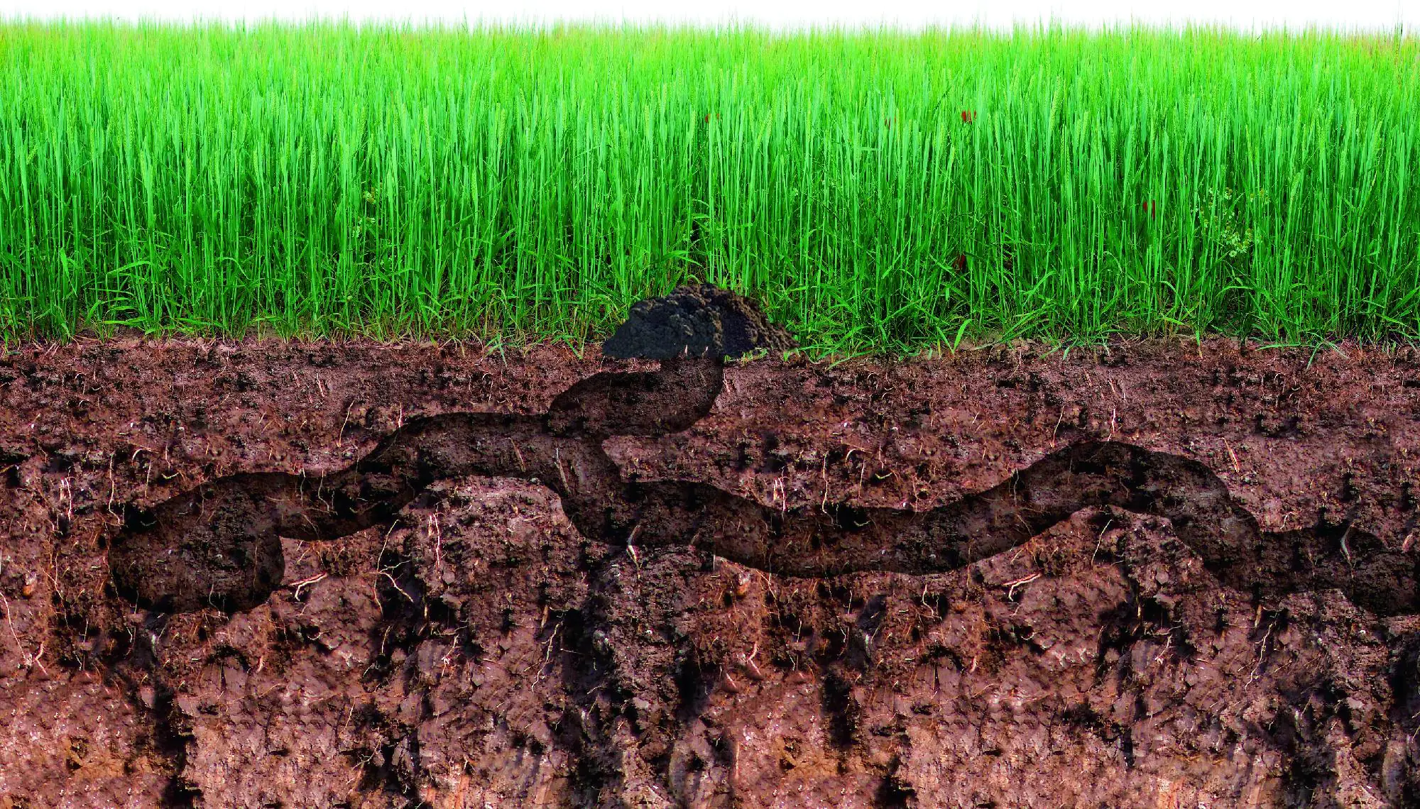 Gardigo Maulwurf-Vertreiber Mini Ganzjähriger Einsatz