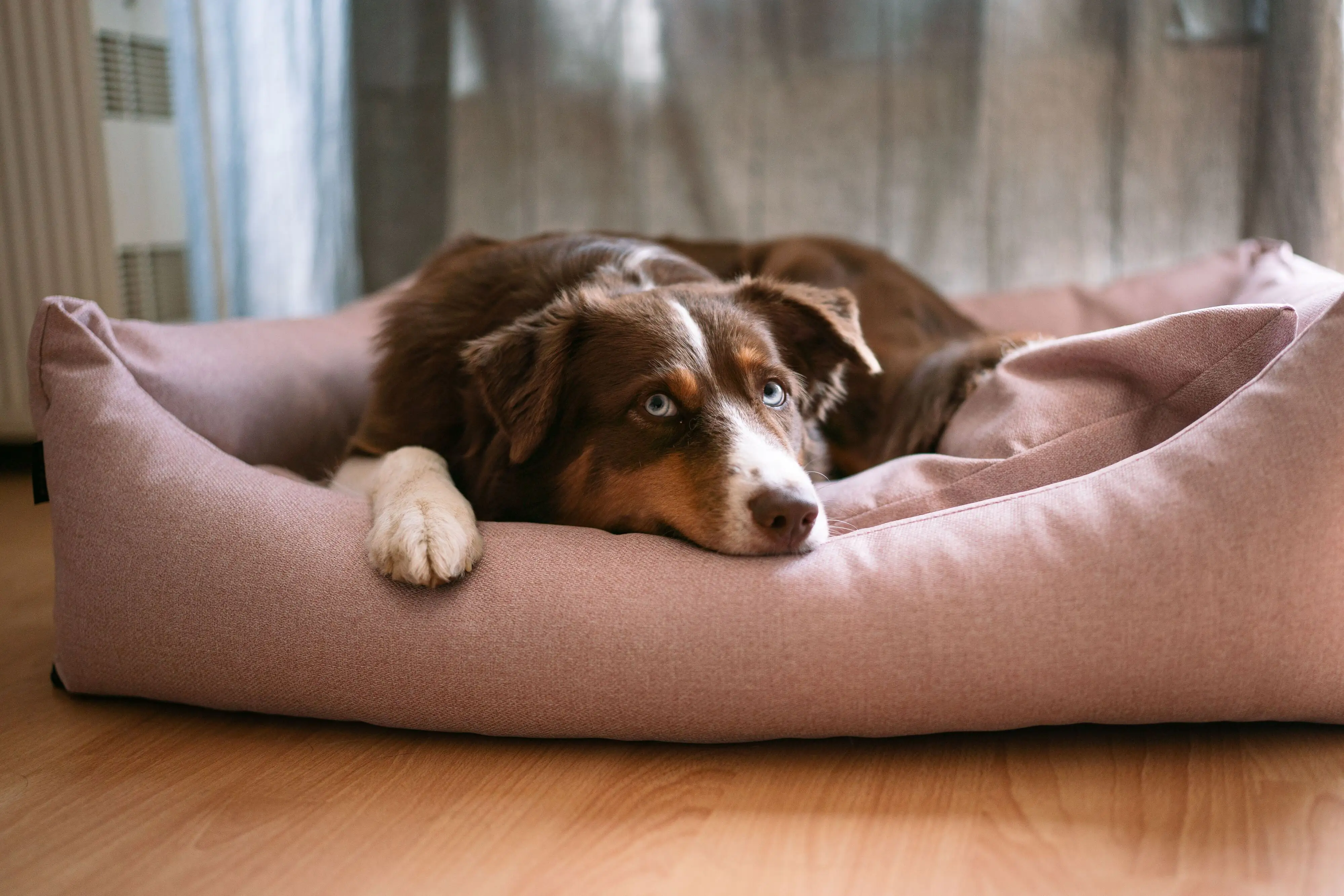 Lebon Hundebett Silver 100 x 75 cm rose