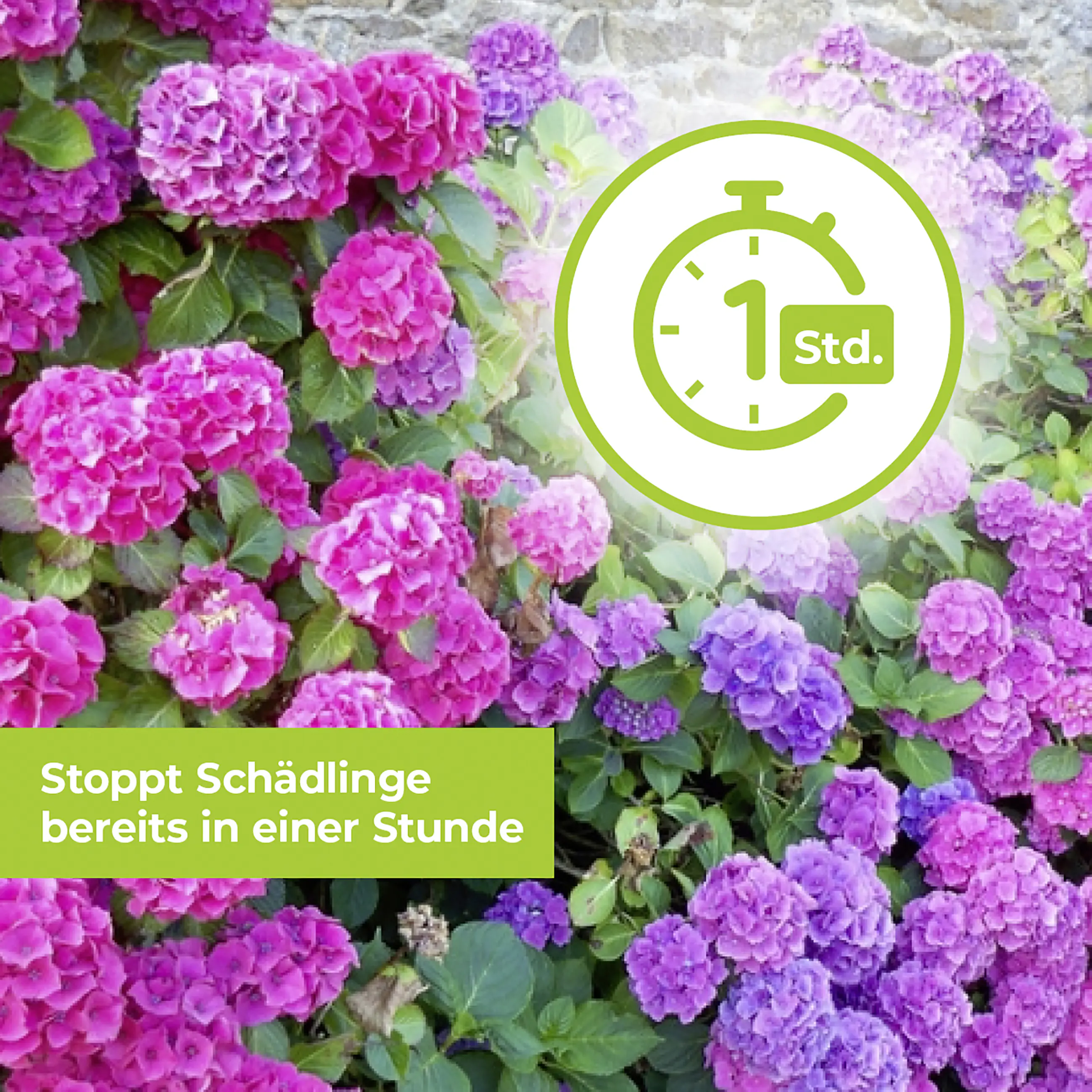 Protect Garden Lizetan Plus Schädlingsfrei AF 3 l