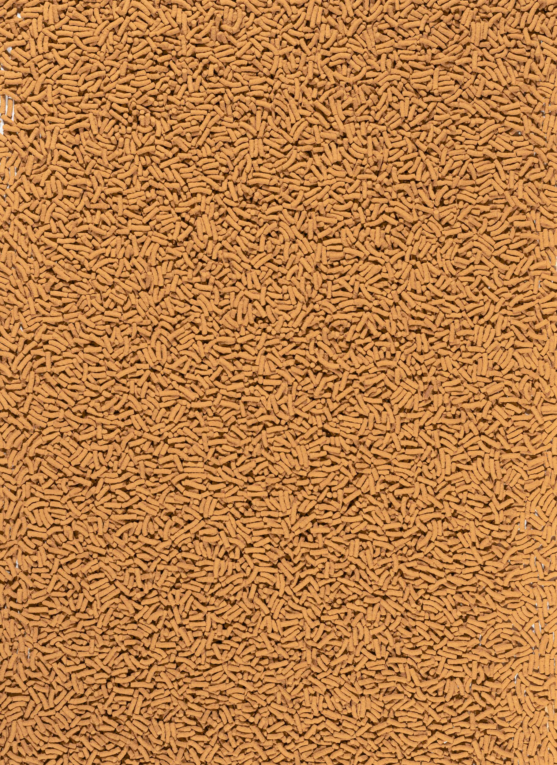 Tetra Teichfutter Pond Koi Sticks 4 l